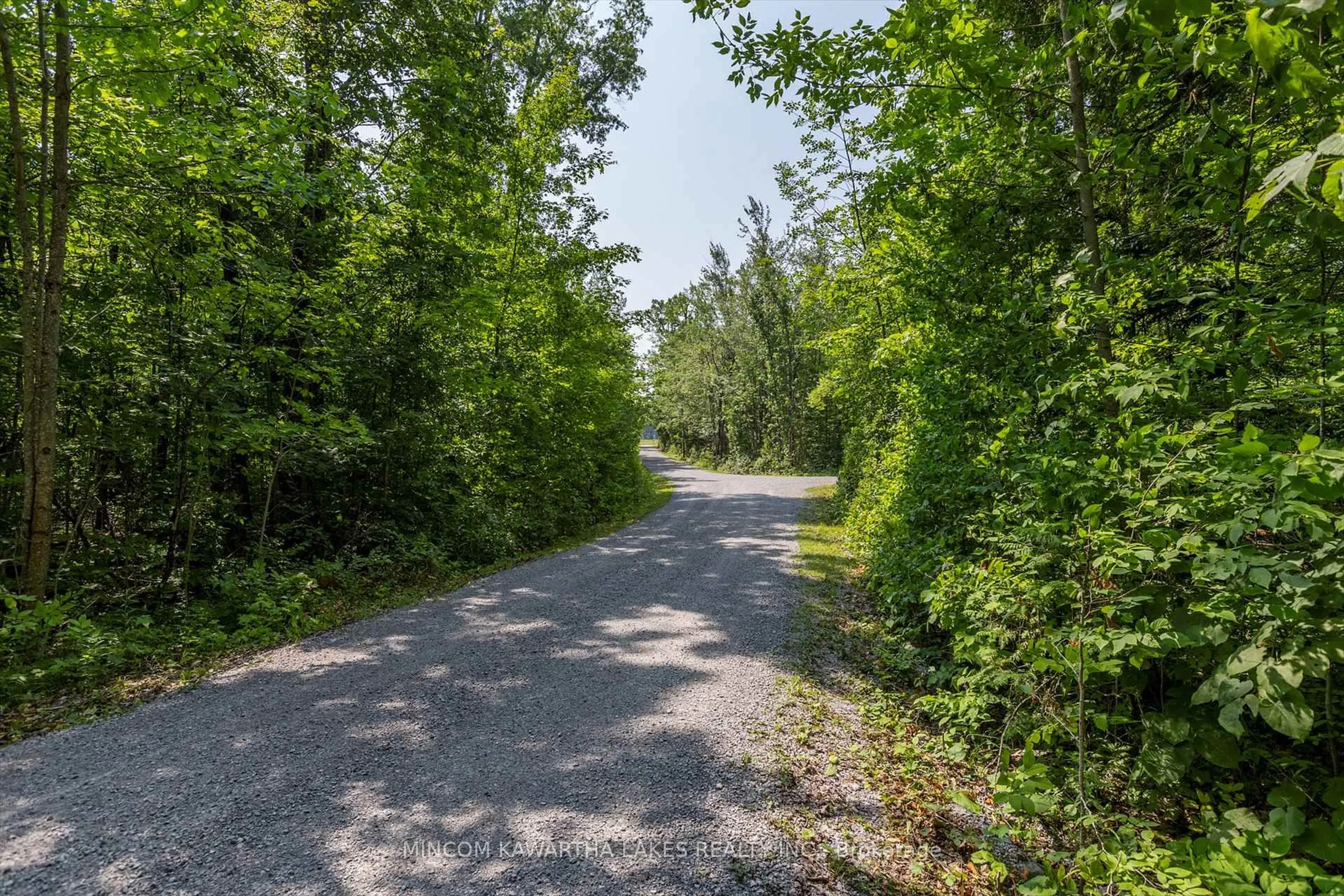 Unknown for 947 Lakehurst Rd, Trent Lakes Ontario K0L 1J0