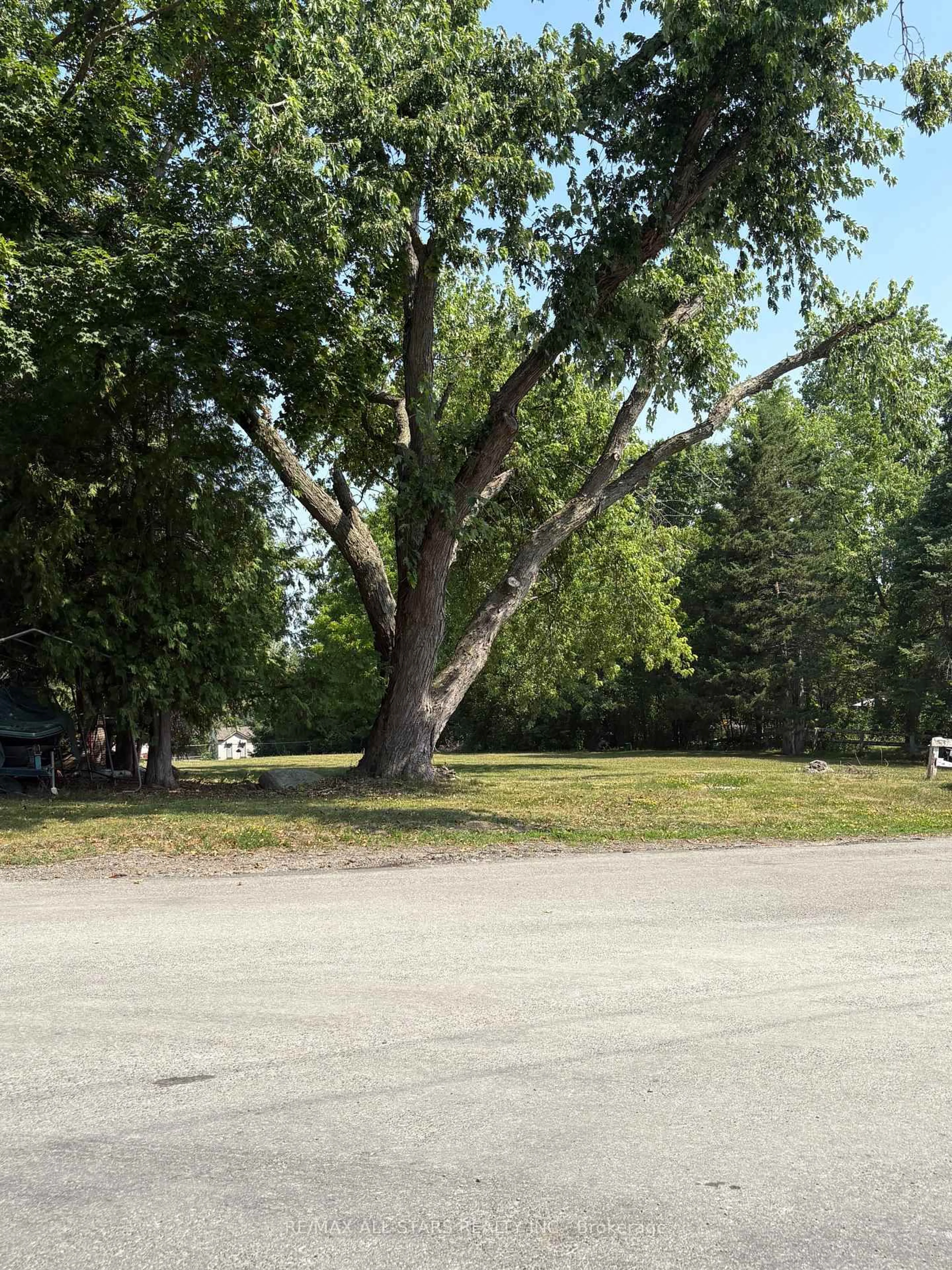 Unknown for 309 Kenrei Rd, Kawartha Lakes Ontario K9V 4R1