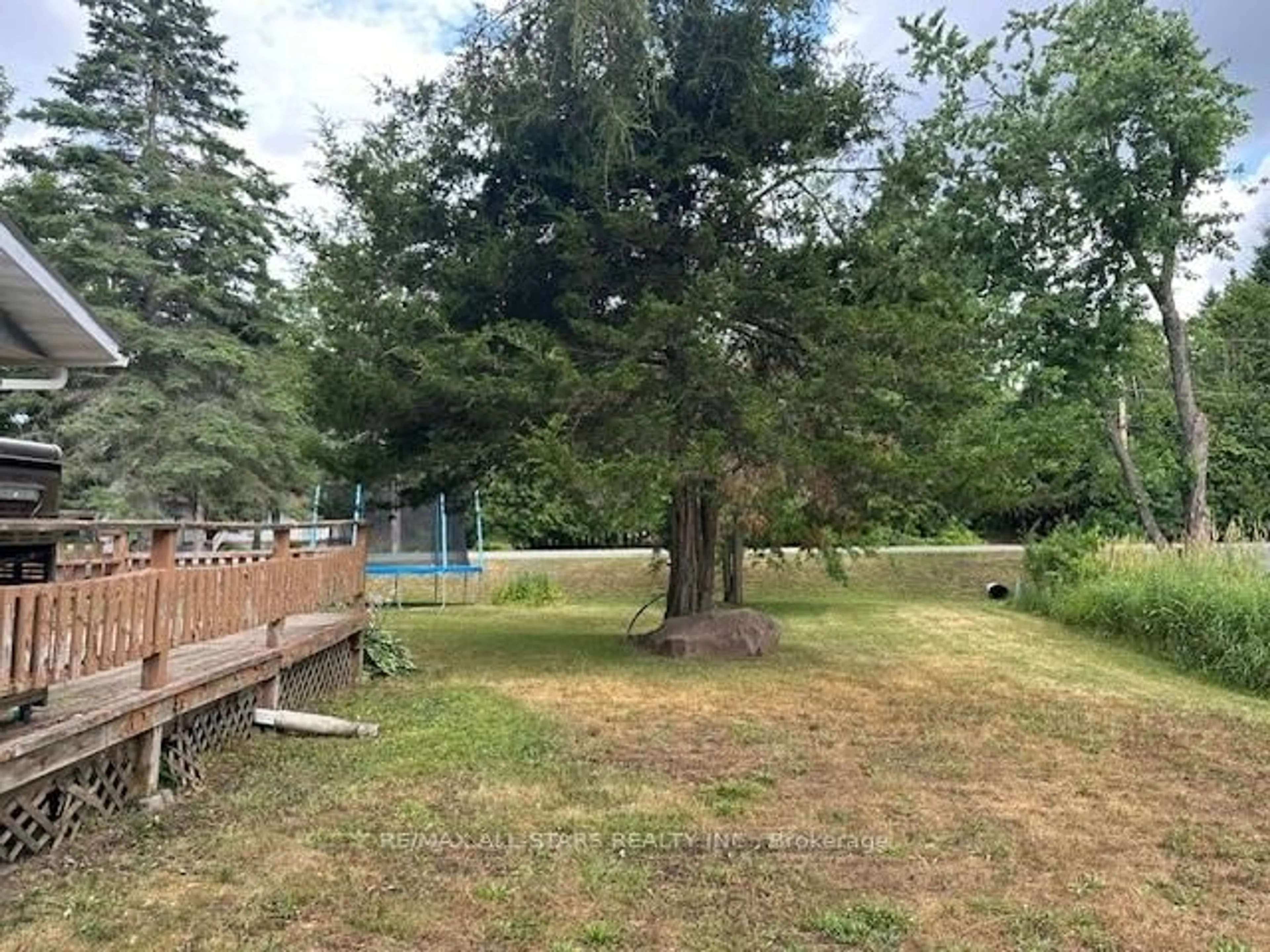 A pic from outside/outdoor area/front of a property/back of a property/a pic from drone, forest/trees view for 160 Alpine Lake Rd, Trent Lakes Ontario K0M 1A0