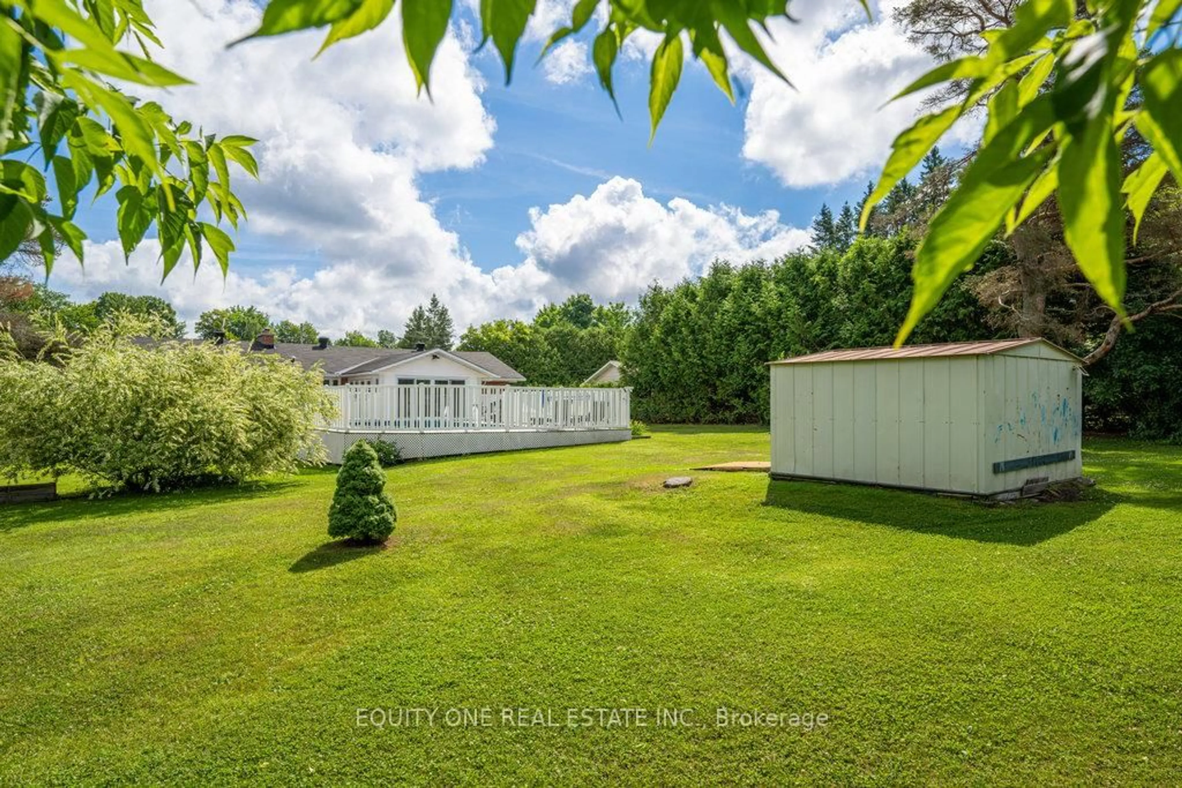 A pic from outside/outdoor area/front of a property/back of a property/a pic from drone, forest/trees view for 4624 Albion Rd, Ottawa Ontario K1X 1A5