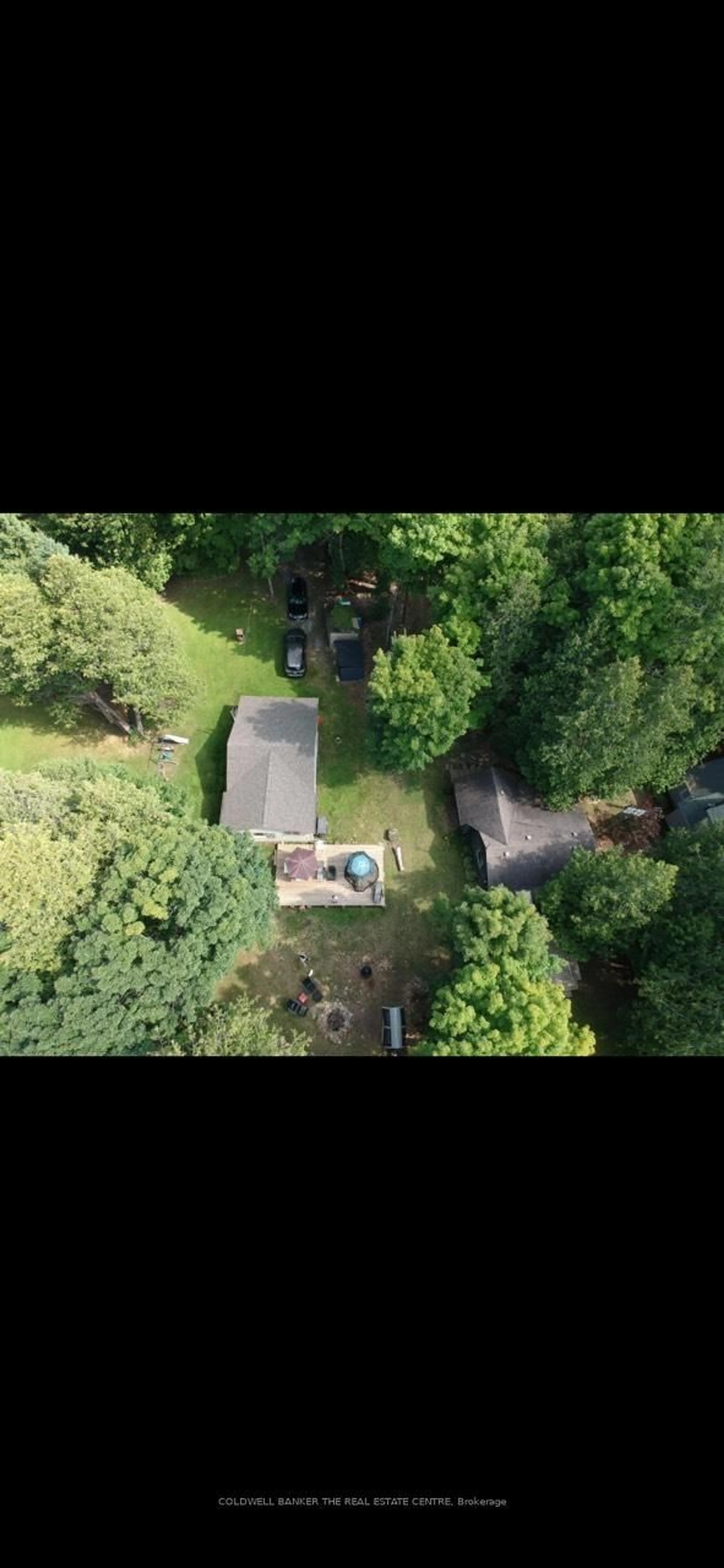A pic from outside/outdoor area/front of a property/back of a property/a pic from drone, forest/trees view for 227 Sunset Beach Rd, Kawartha Lakes Ontario K0M 2B0