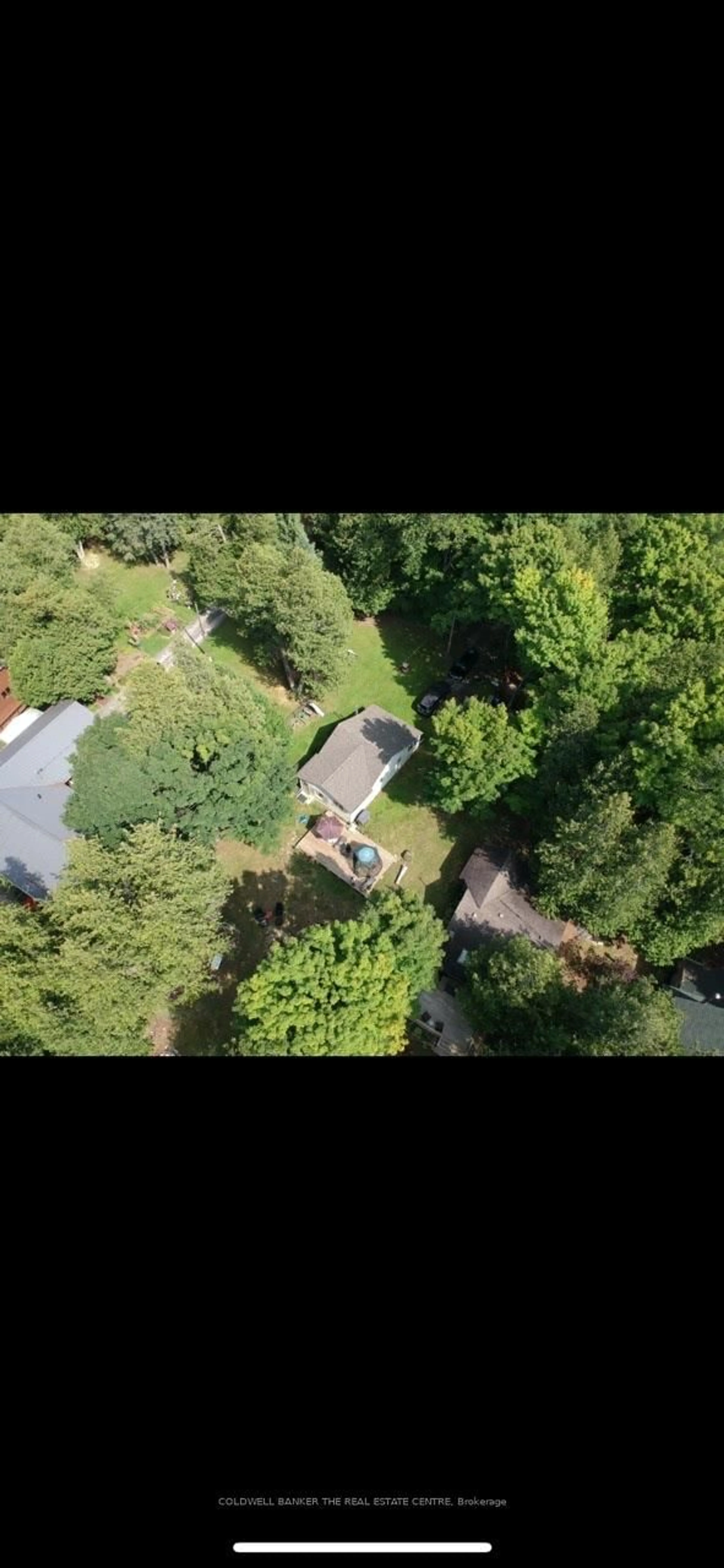A pic from outside/outdoor area/front of a property/back of a property/a pic from drone, forest/trees view for 227 Sunset Beach Rd, Kawartha Lakes Ontario K0M 2B0