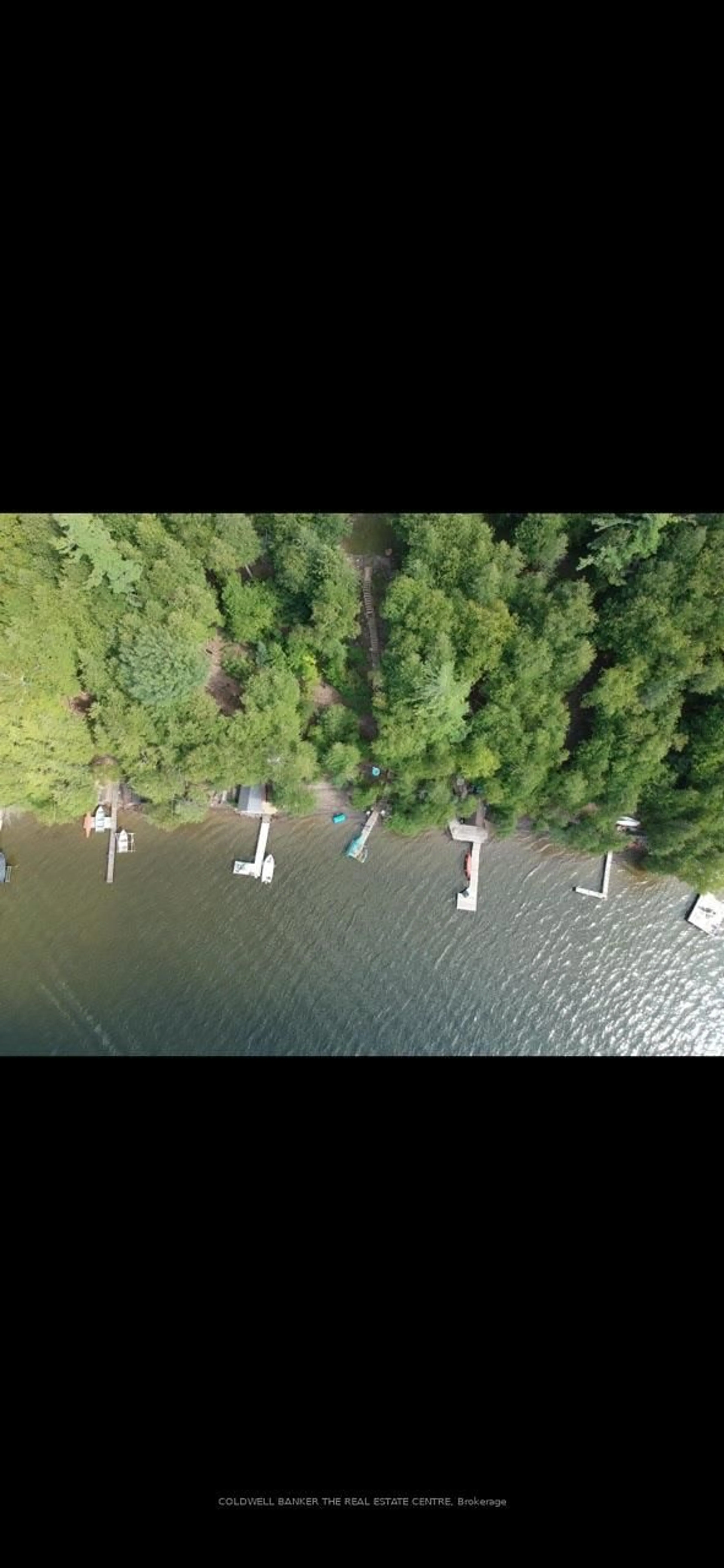 A pic from outside/outdoor area/front of a property/back of a property/a pic from drone, water/lake/river/ocean view for 227 Sunset Beach Rd, Kawartha Lakes Ontario K0M 2B0