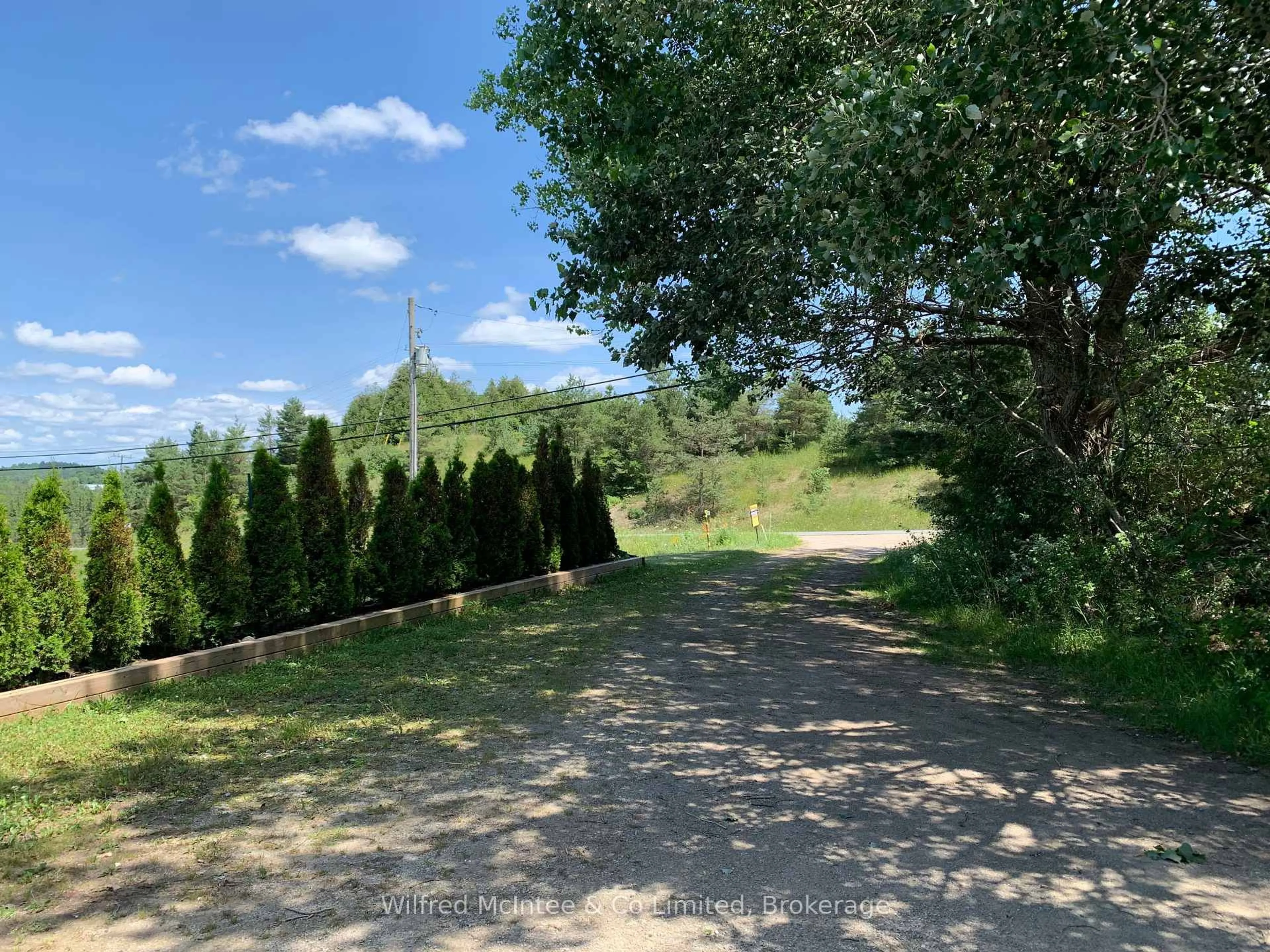 A pic from outside/outdoor area/front of a property/back of a property/a pic from drone, forest/trees view for 313338 Hwy 6, West Grey Ontario N0G 1R0