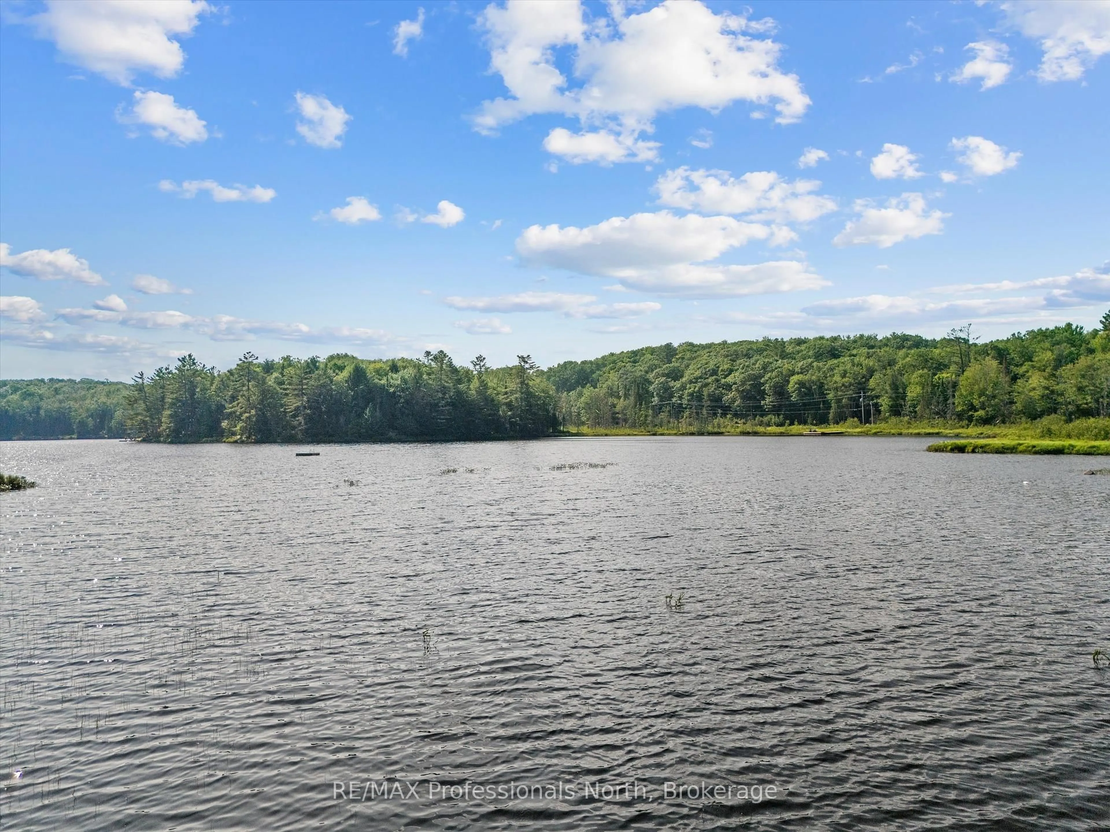 Unknown for 1020 GORDONIER LAKE Rd, Bracebridge Ontario P1L 1X3
