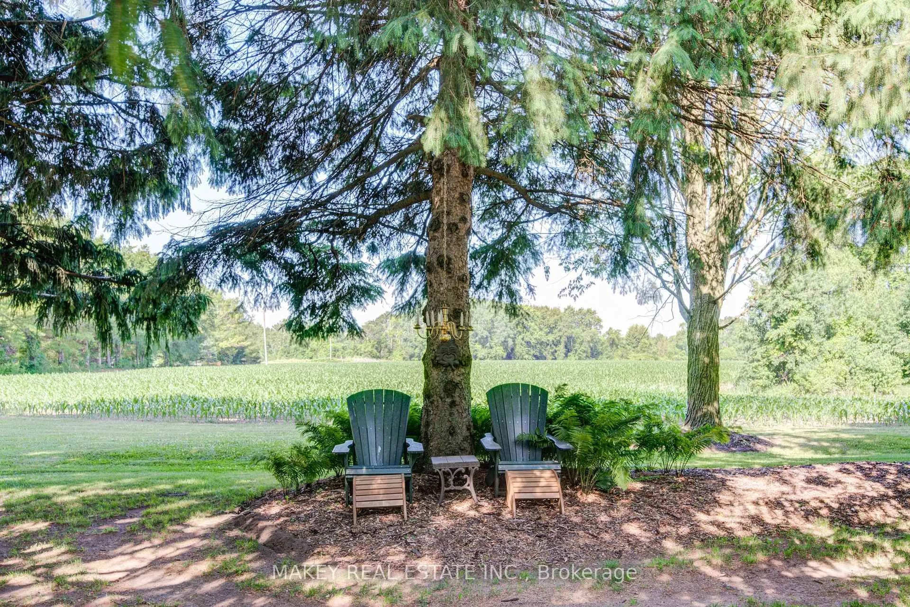 Patio, forest/trees view for 786153 Township Rd 6 Rd, Blandford-Blenheim Ontario N0J 1M0
