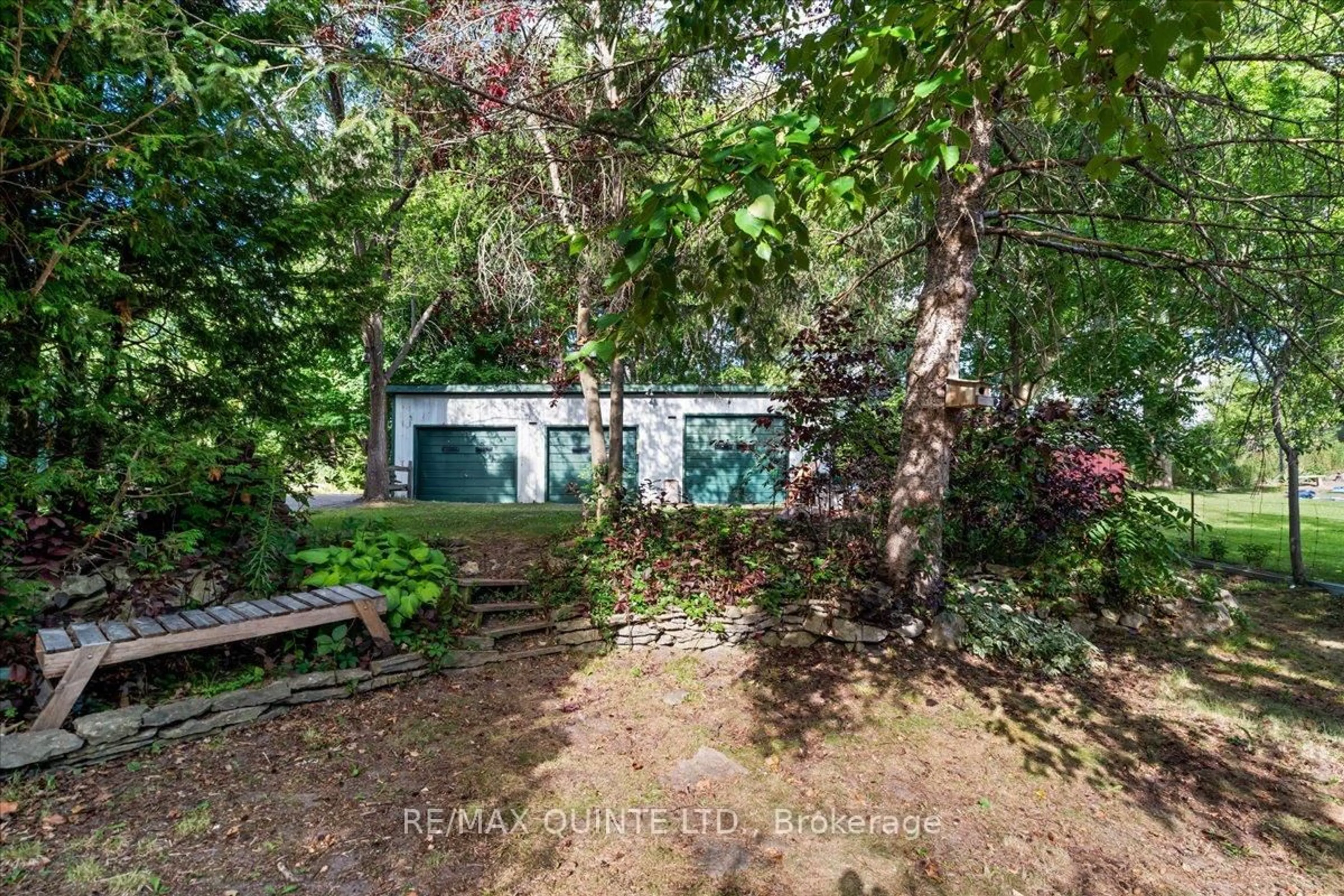 A pic from outside/outdoor area/front of a property/back of a property/a pic from drone, forest/trees view for 59 John St, Stirling Ontario K0K 3E0