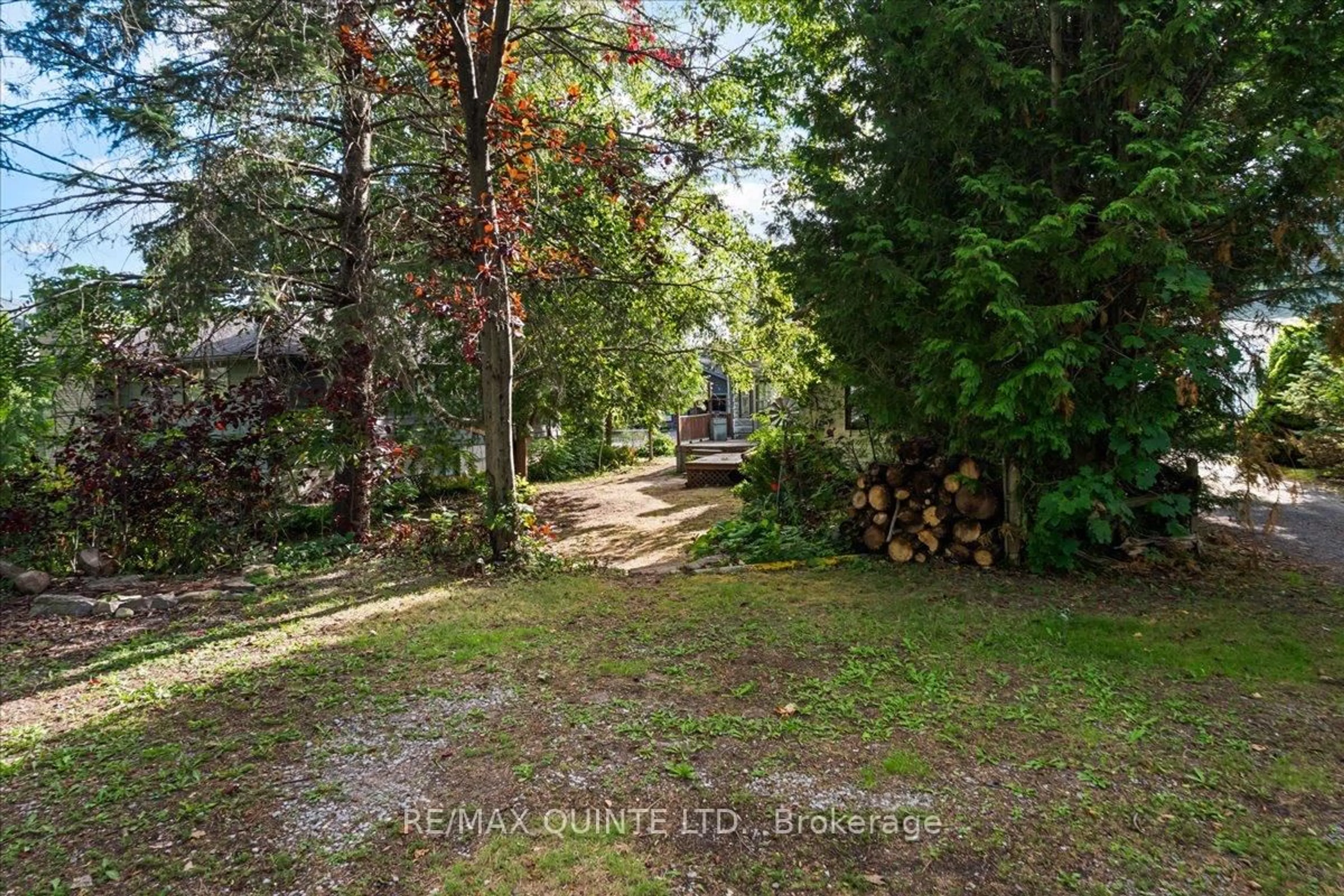 A pic from outside/outdoor area/front of a property/back of a property/a pic from drone, forest/trees view for 59 John St, Stirling Ontario K0K 3E0