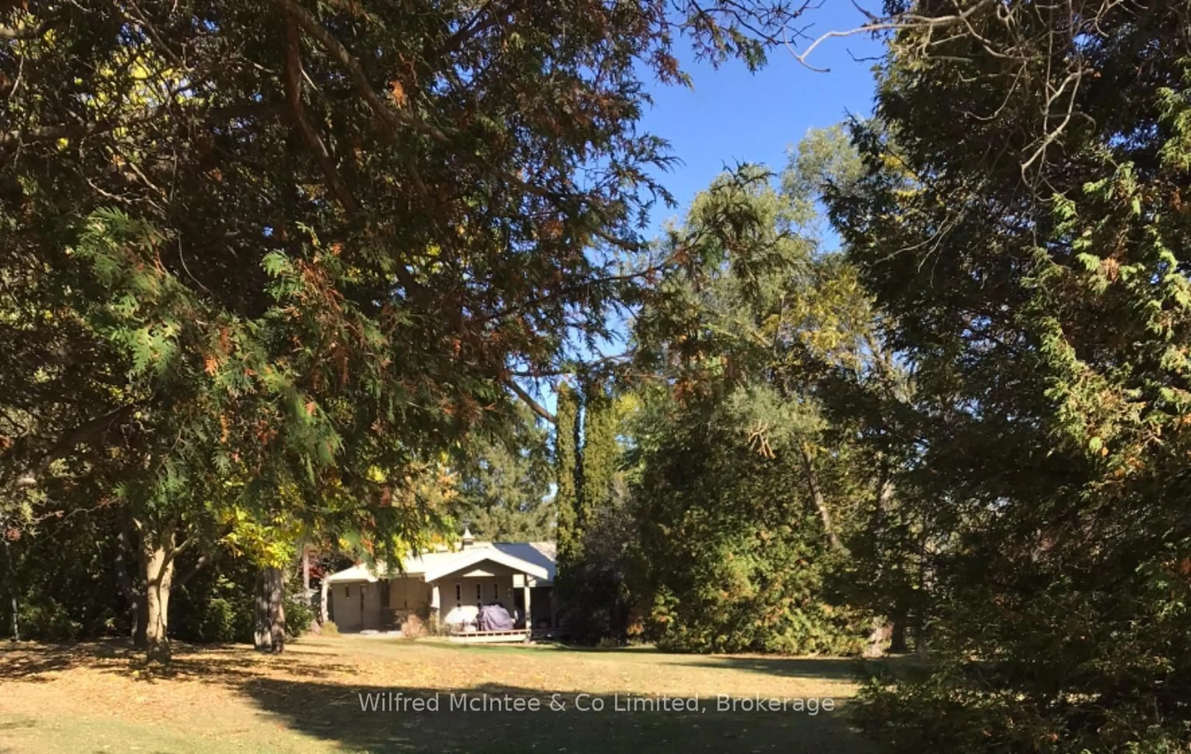 A pic from outside/outdoor area/front of a property/back of a property/a pic from drone, forest/trees view for 302299 Concession Rd 2 SDR, West Grey Ontario N4N 3B8