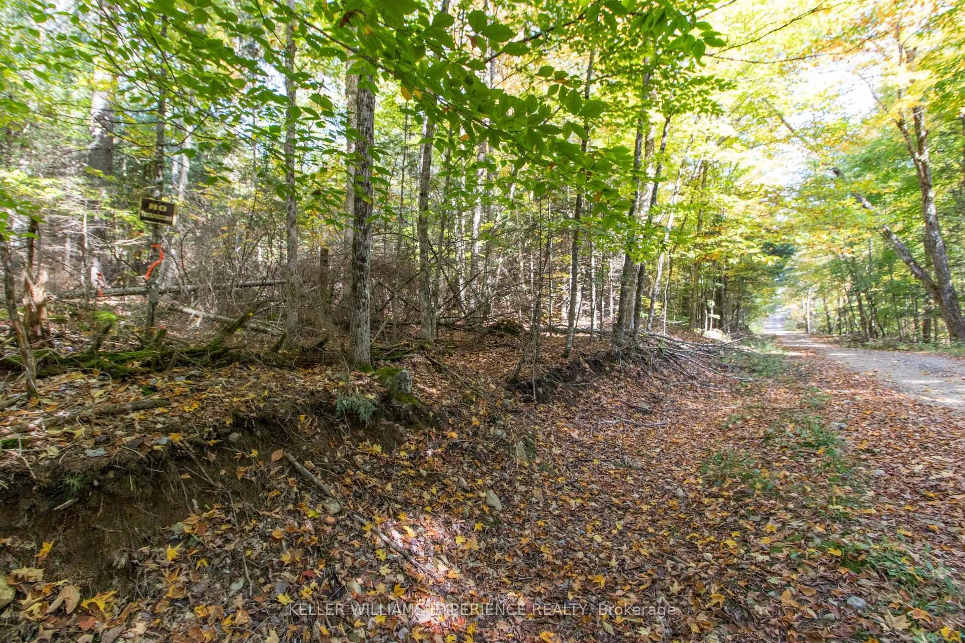 Unknown for 0 Lynx Lake Rd, Huntsville Ontario P1H 2J3