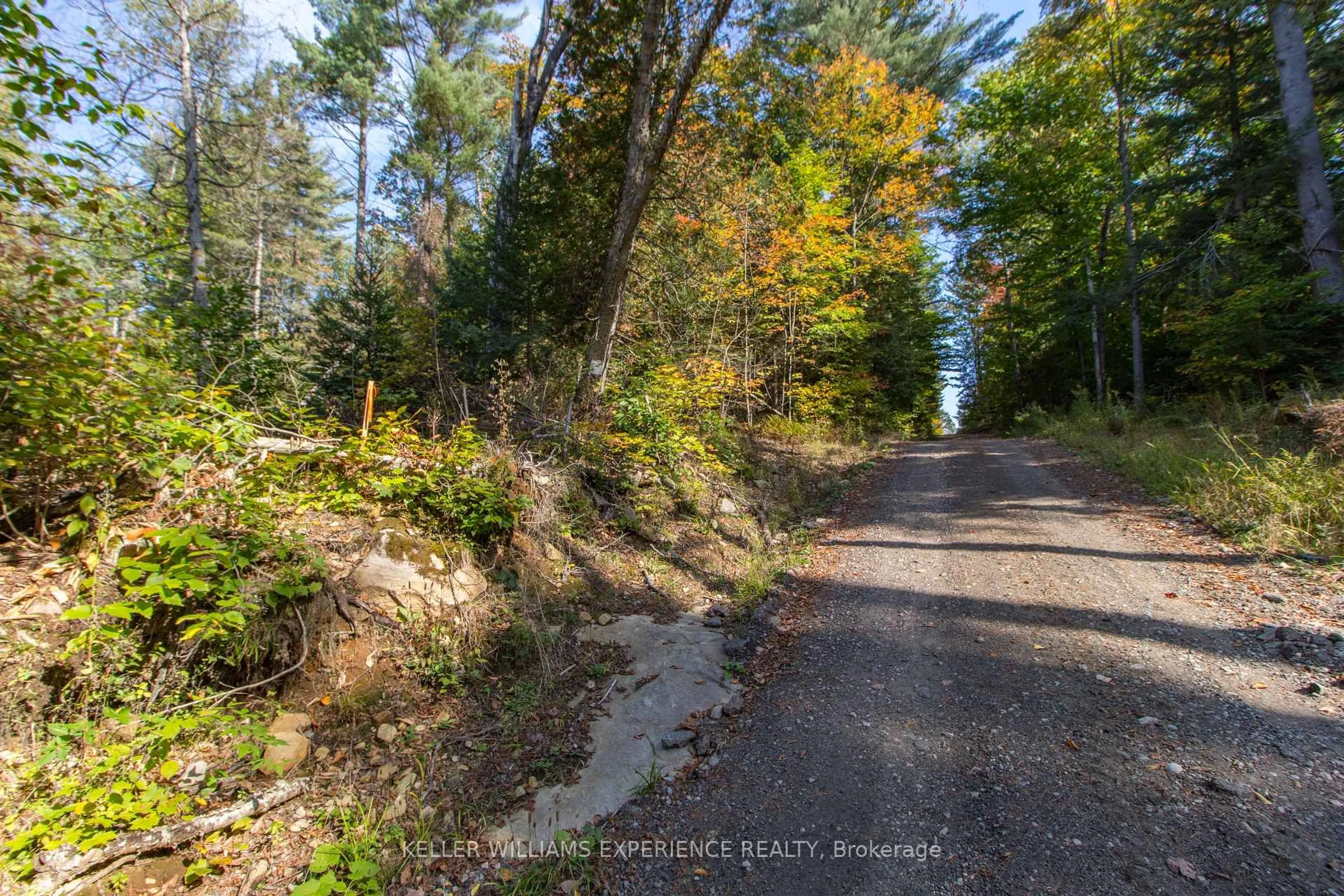 Blurry image for 0 Lynx Lake Rd, Huntsville Ontario P1H 2J3