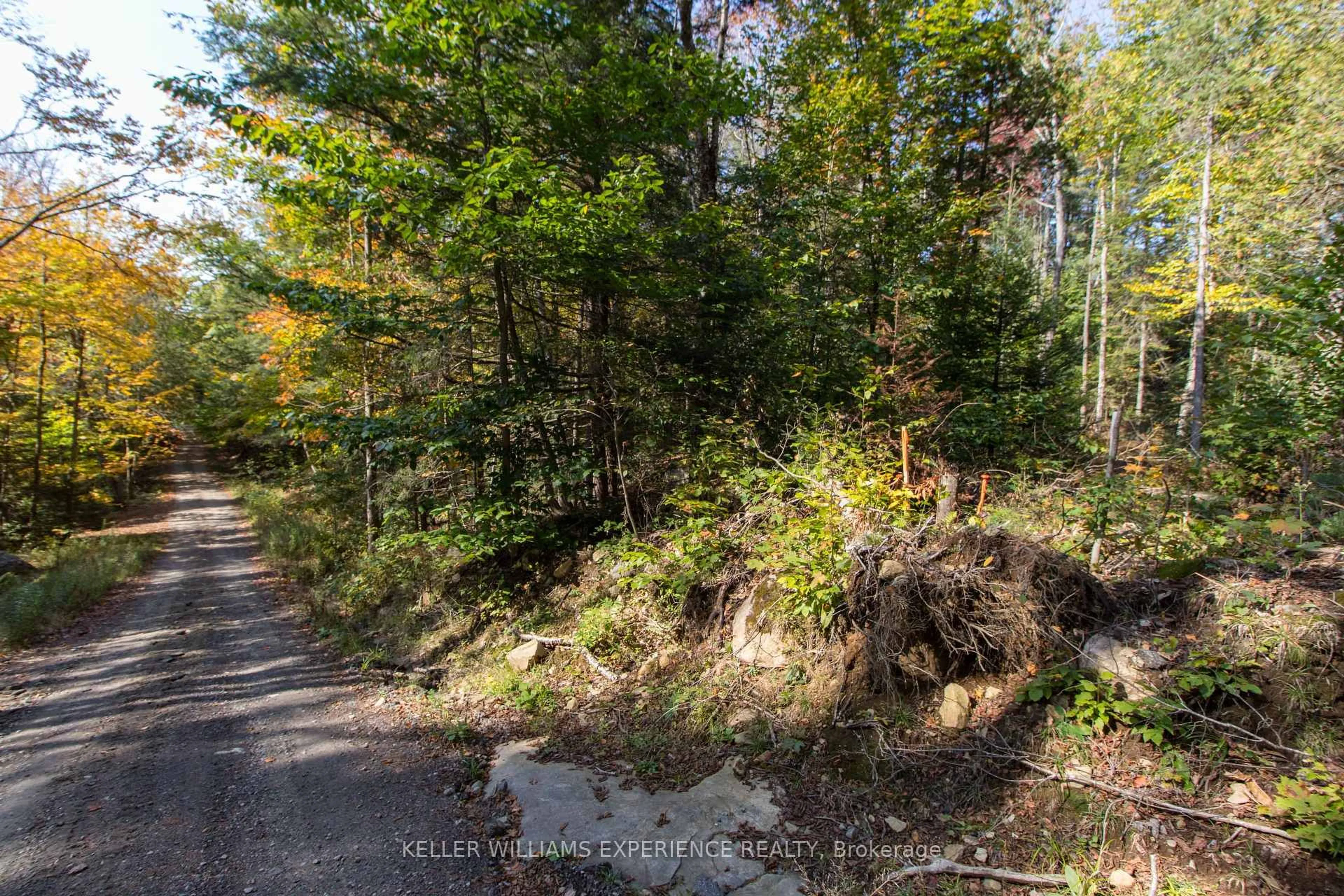 Unknown for 0 Lynx Lake Rd, Huntsville Ontario P1H 2J3