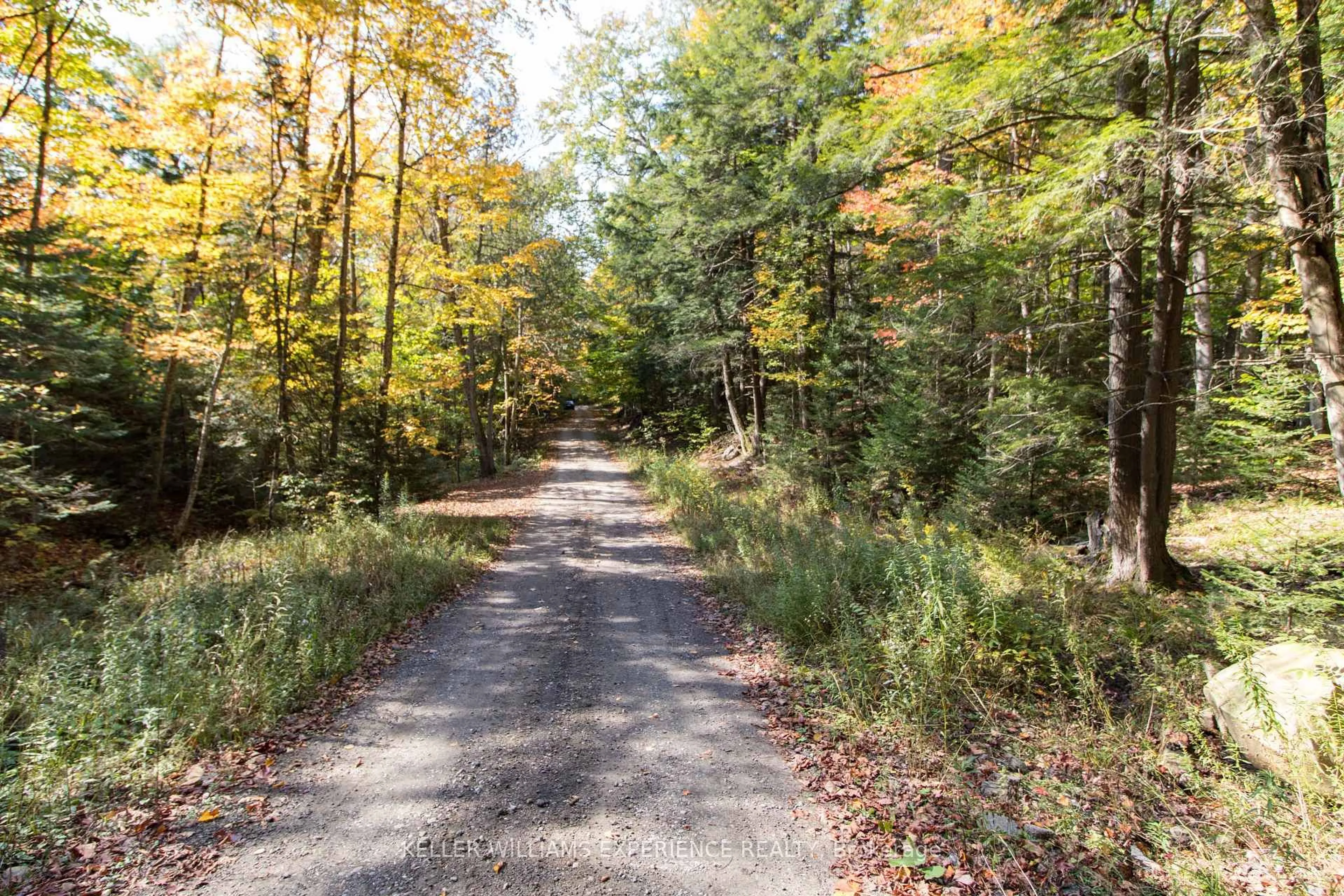 Unknown for 0 Lynx Lake Rd, Huntsville Ontario P1H 2J3