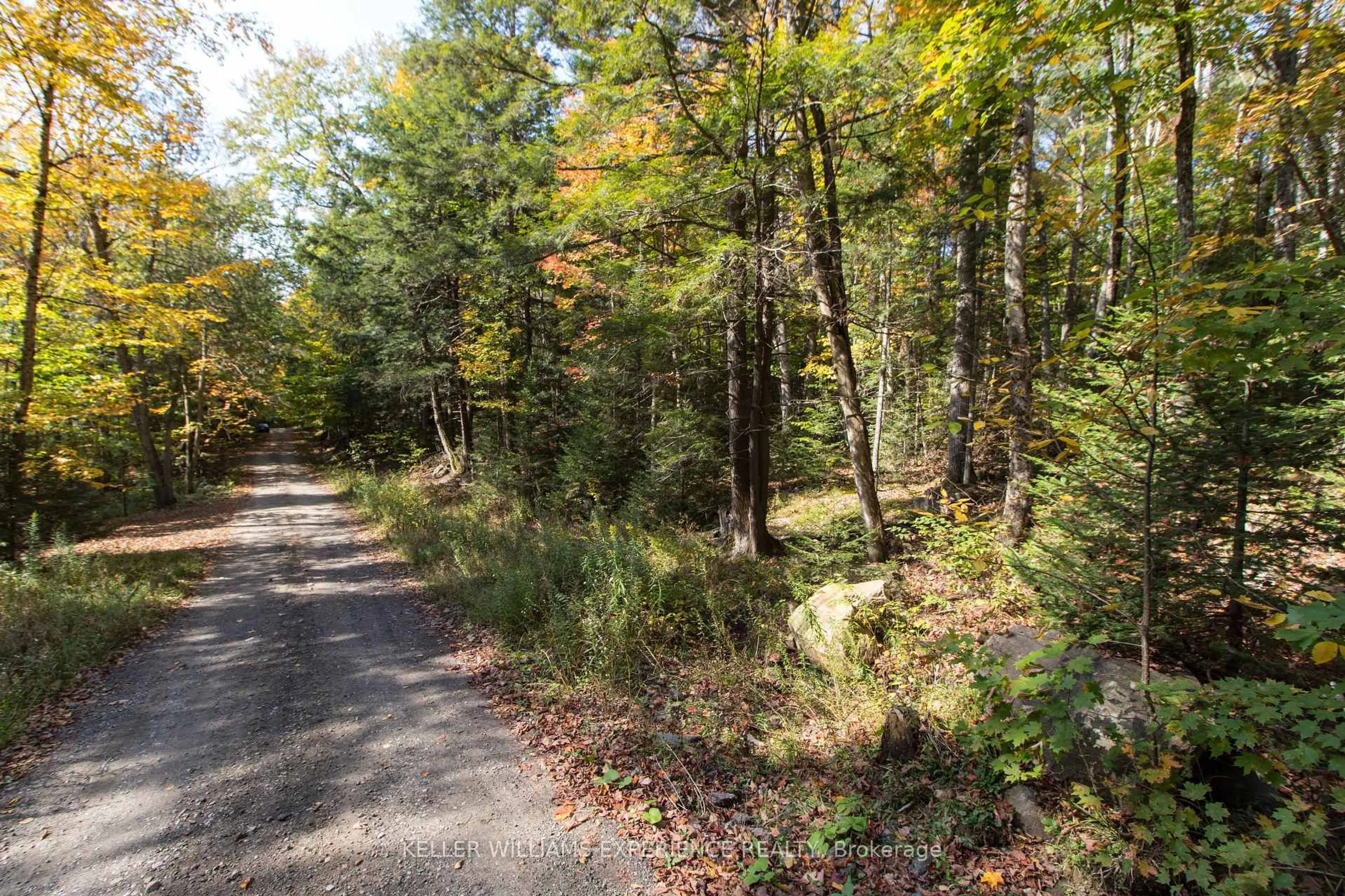 Unknown for 0 Lynx Lake Rd, Huntsville Ontario P1H 2J3