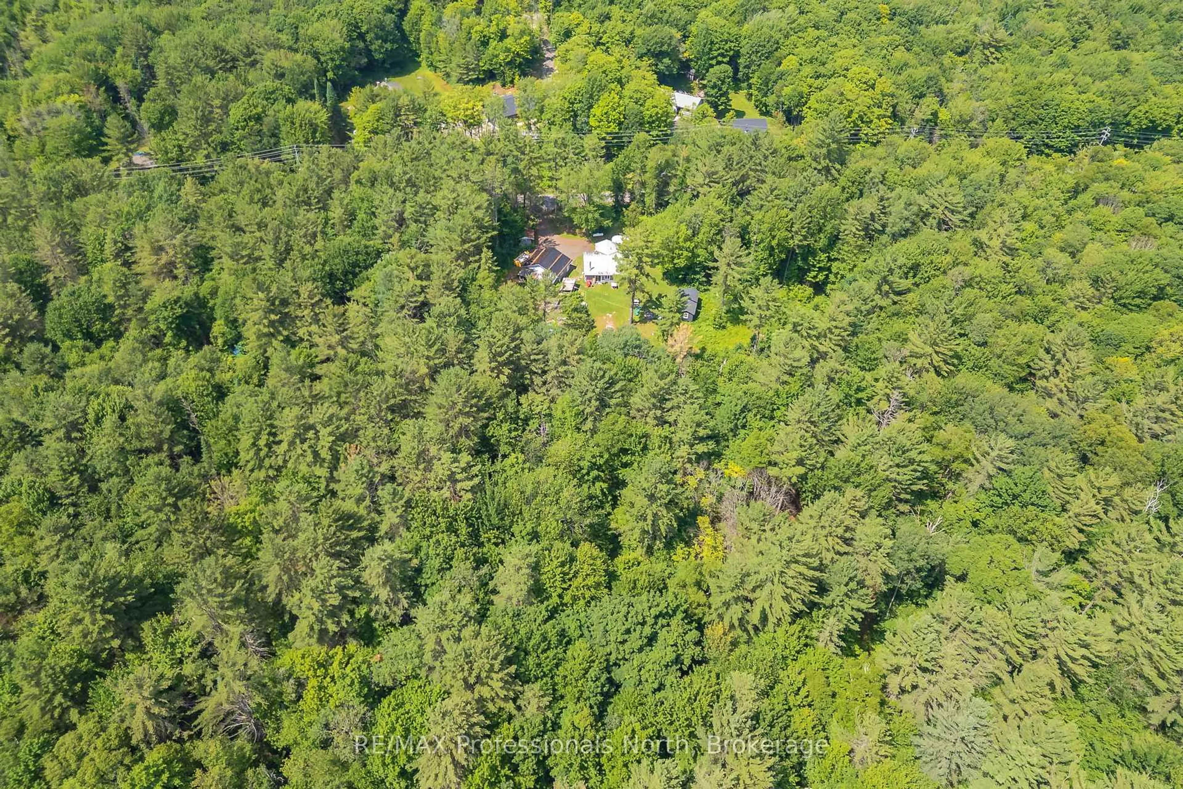 A pic from outside/outdoor area/front of a property/back of a property/a pic from drone, forest/trees view for 187 Stephenson 4 Rd, Huntsville Ontario P0B 1M0