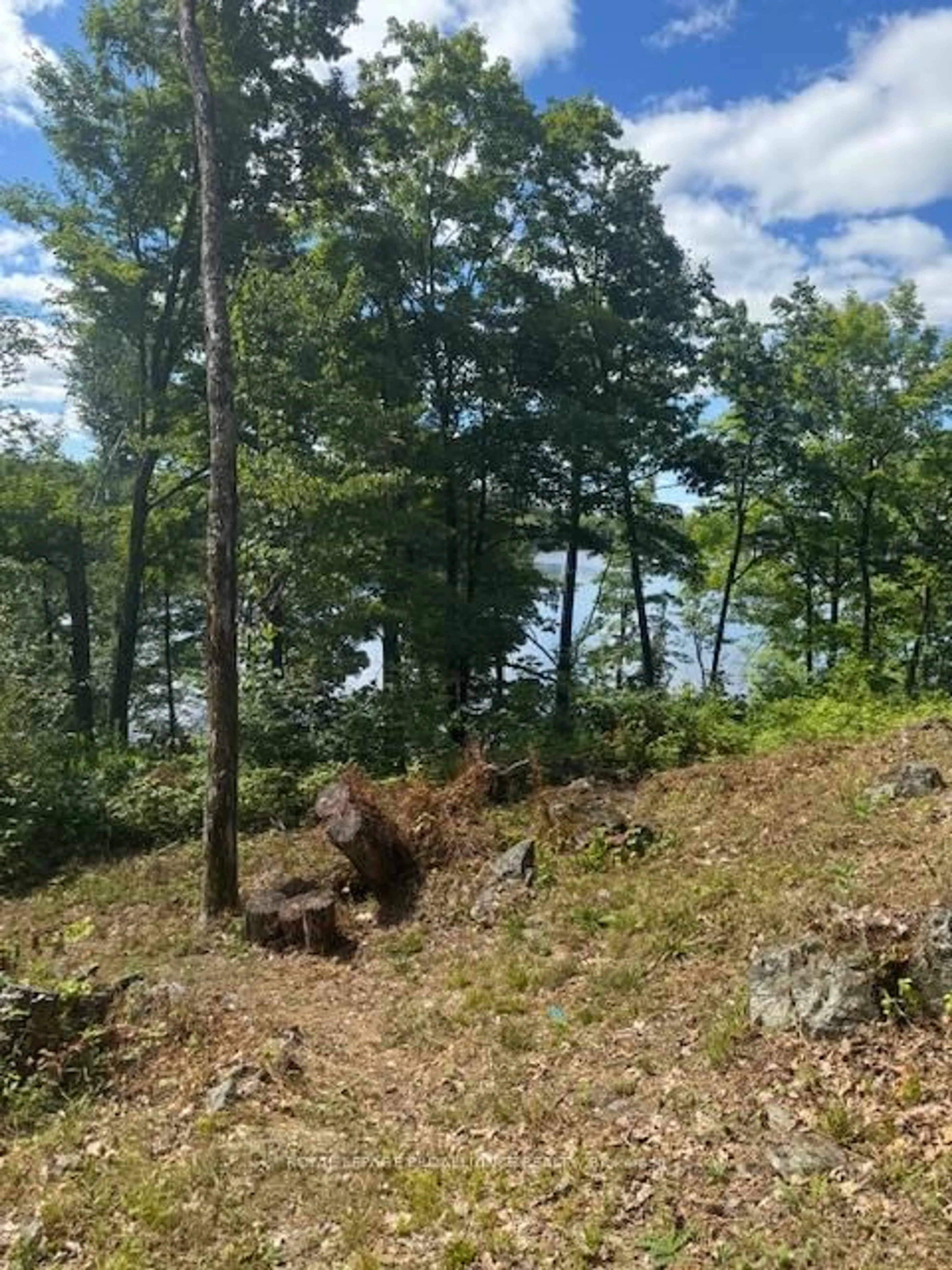 Blurry image for 493 Buttermilk Lane, Limoges Ontario K0K 2M0
