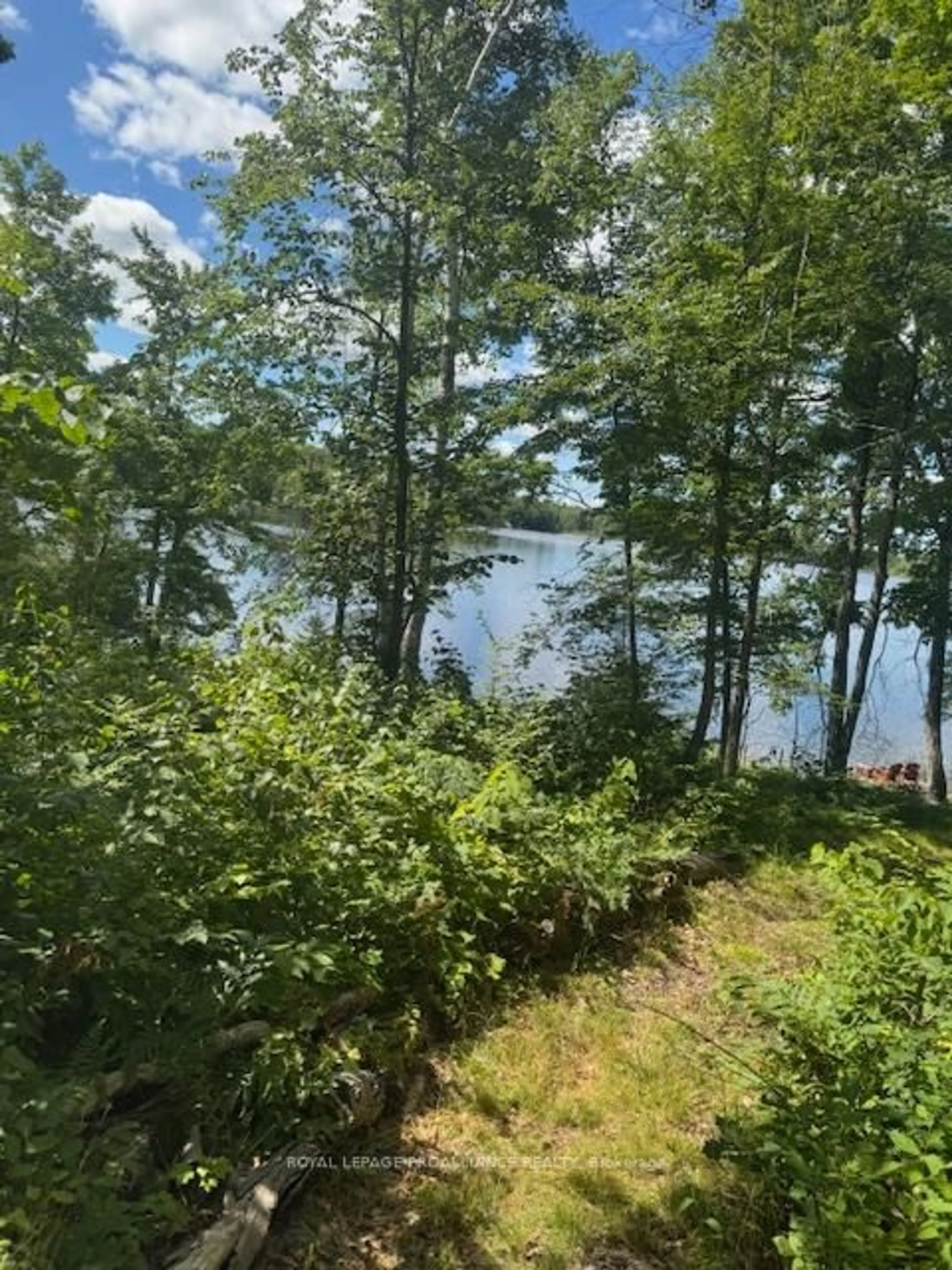 A pic from outside/outdoor area/front of a property/back of a property/a pic from drone, water/lake/river/ocean view for 493 Buttermilk Lane, Limoges Ontario K0K 2M0