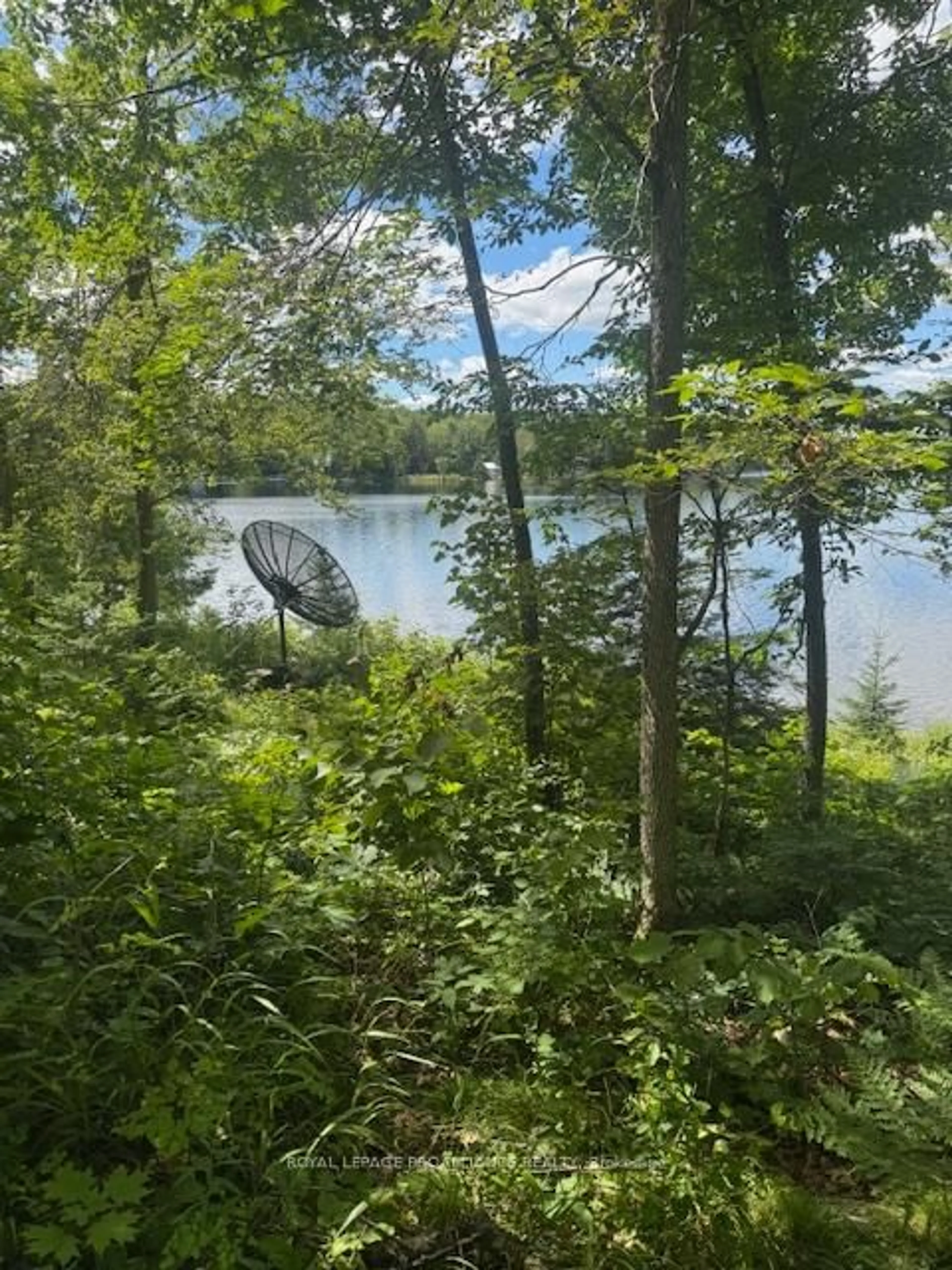 Unknown for 493 Buttermilk Lane, Limoges Ontario K0K 2M0