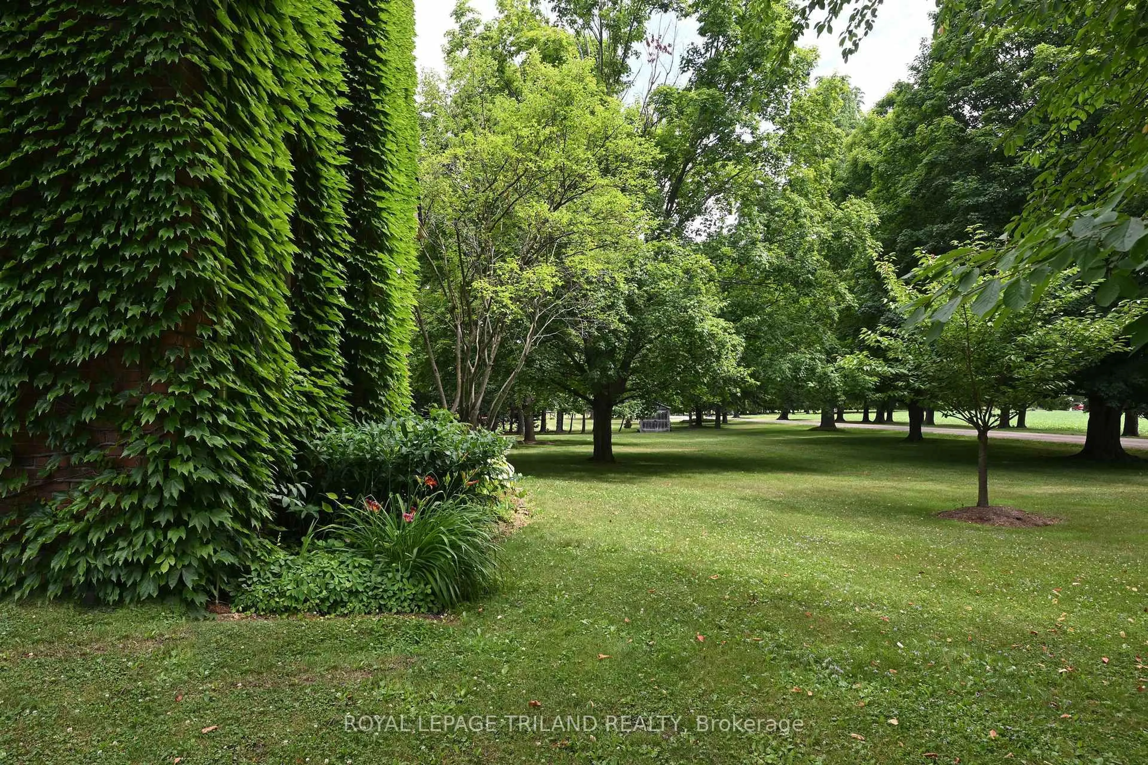 Patio, forest/trees view for 6440 Begg Rd, Southwold Ontario N5P 3S9