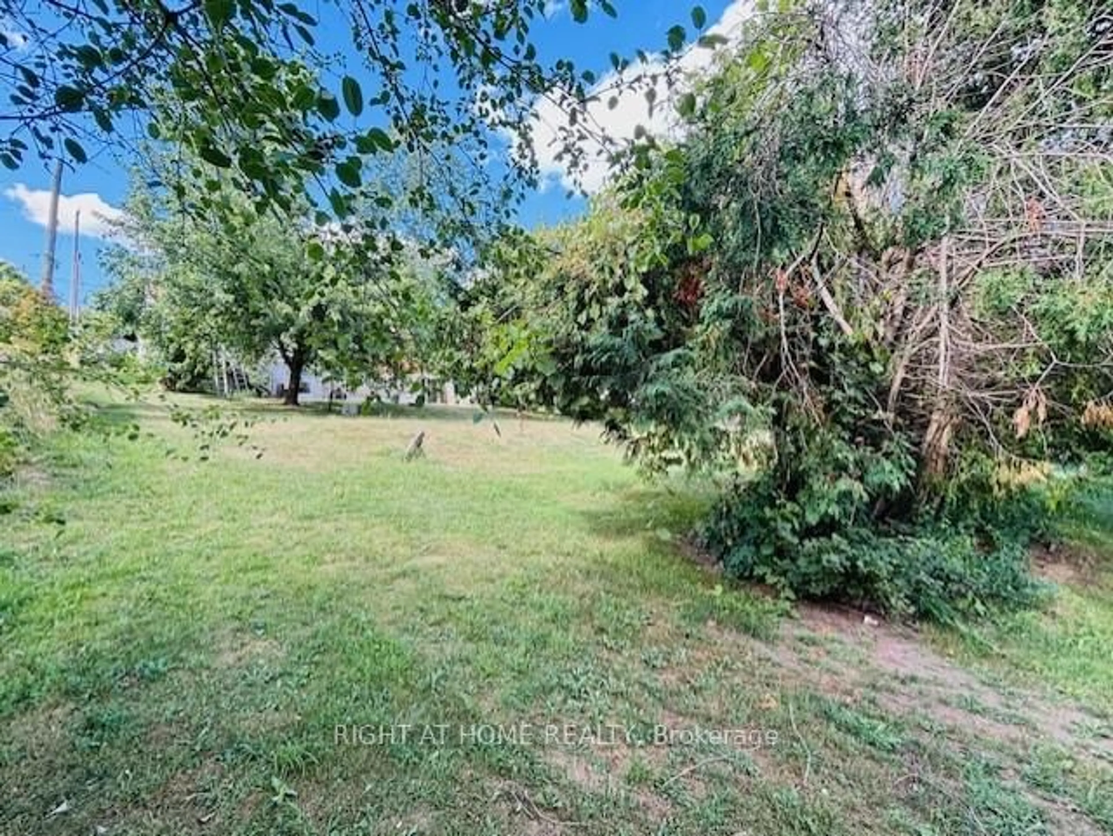 A pic from outside/outdoor area/front of a property/back of a property/a pic from drone, forest/trees view for 1649 Whittington Dr, Peterborough West Ontario K9J 6X6