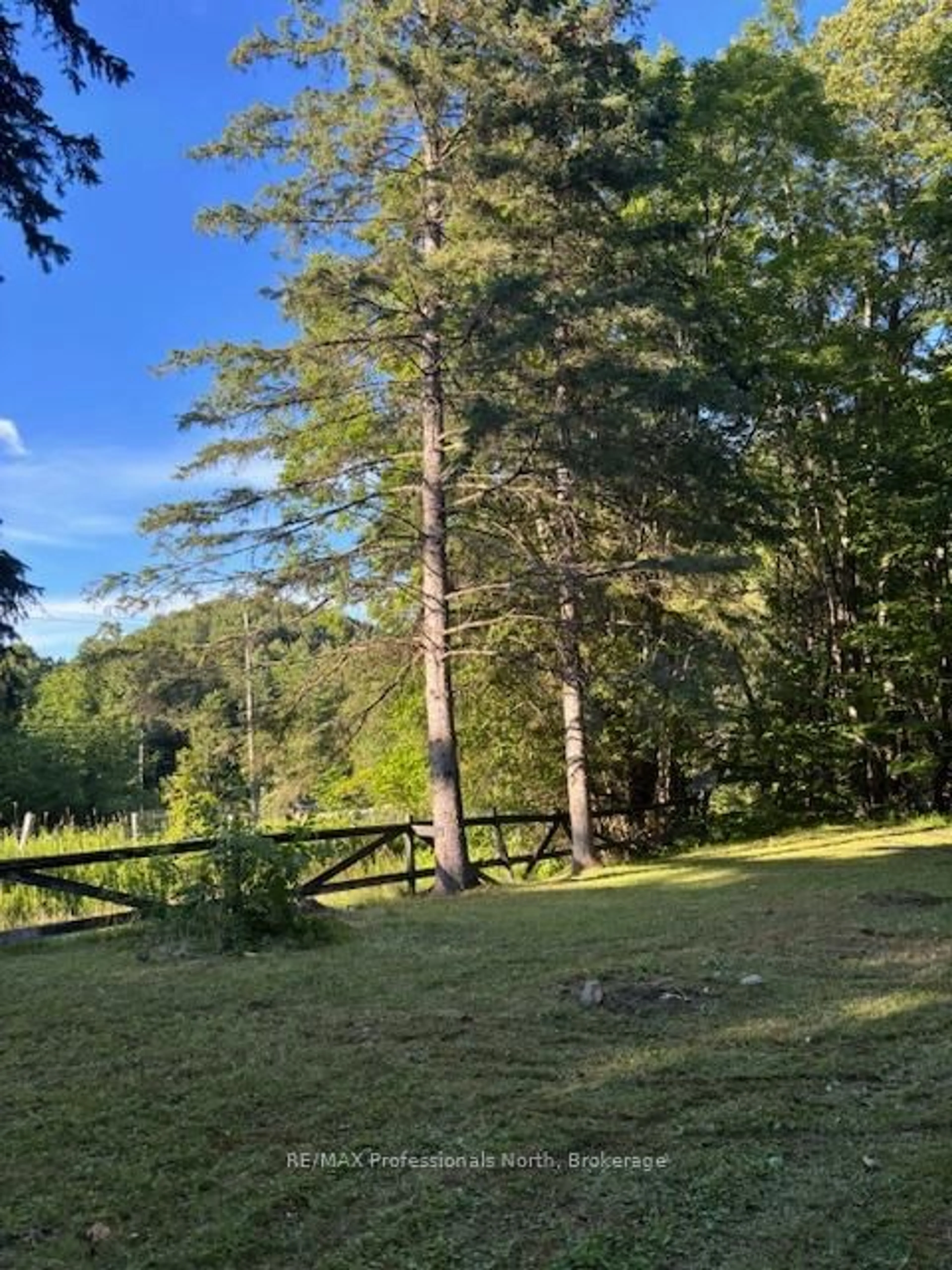 A pic from outside/outdoor area/front of a property/back of a property/a pic from drone, forest/trees view for 1078 South Lake Rd, Minden Hills Ontario K0M 2K0