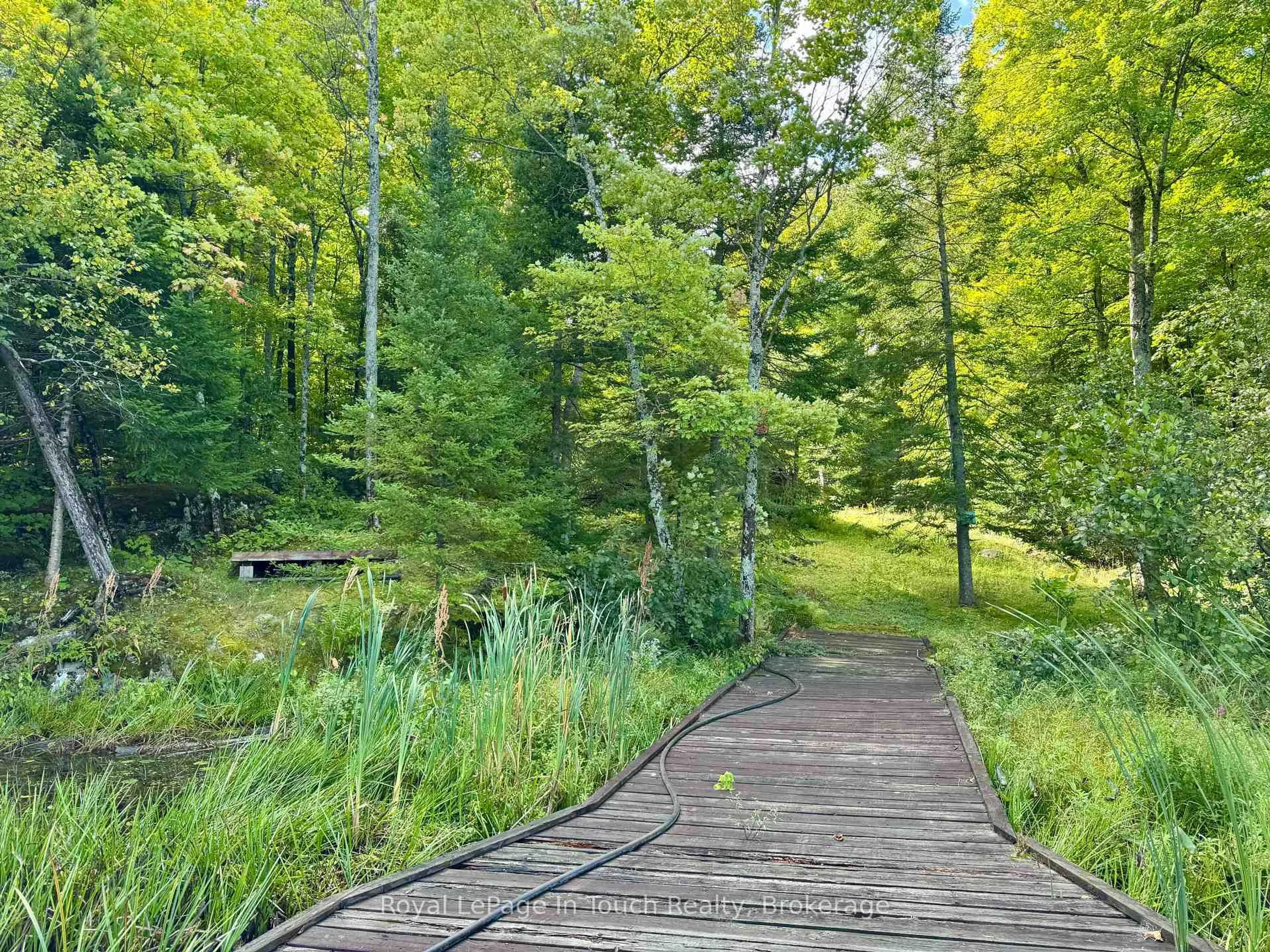 Patio, forest/trees view for 2 Severn River Shore, Muskoka Lakes Ontario P0C 1M0