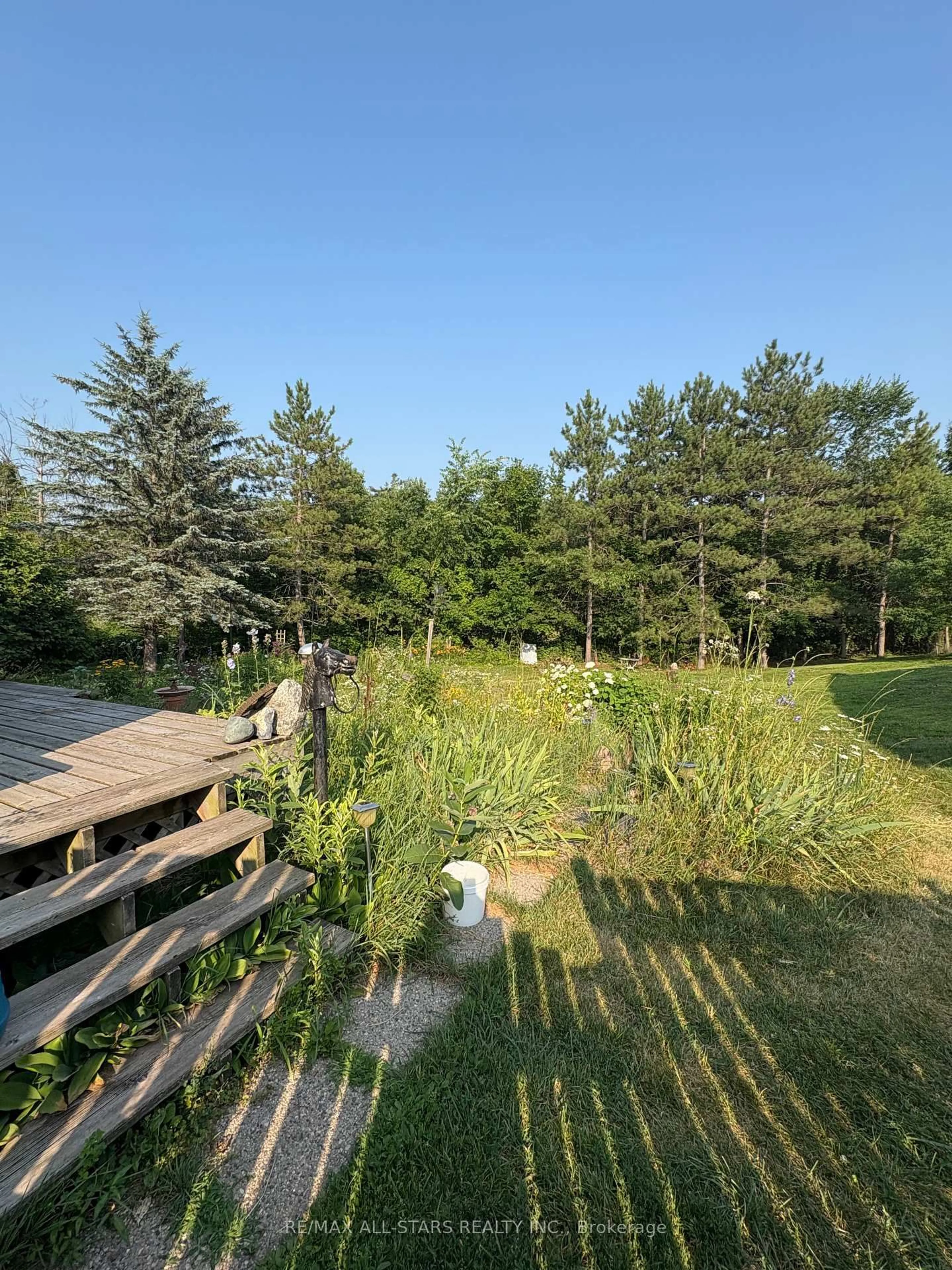 A pic from outside/outdoor area/front of a property/back of a property/a pic from drone, forest/trees view for 412 Cooper Rd, Madoc Ontario K0K 2K0