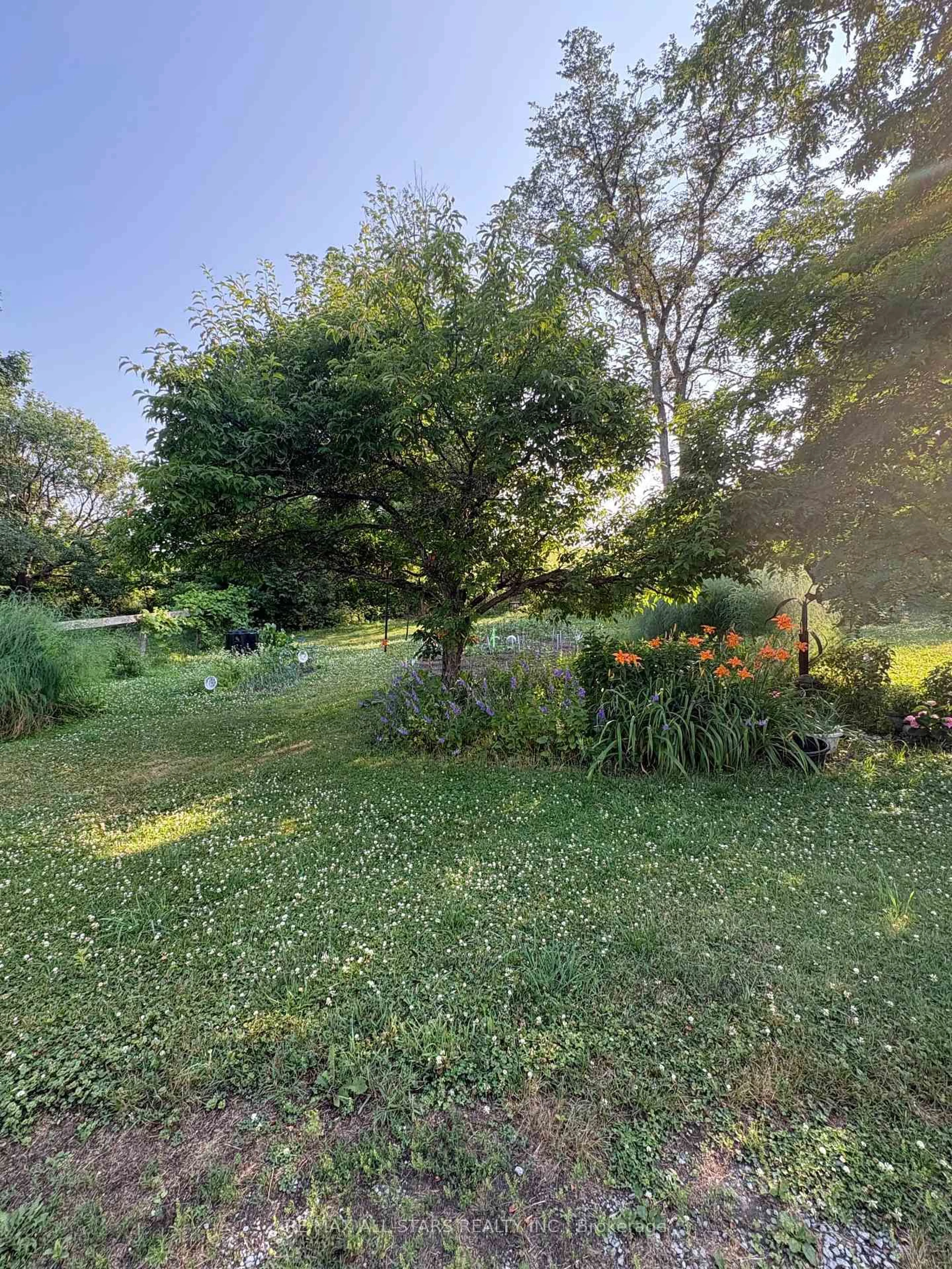 A pic from outside/outdoor area/front of a property/back of a property/a pic from drone, forest/trees view for 412 Cooper Rd, Madoc Ontario K0K 2K0