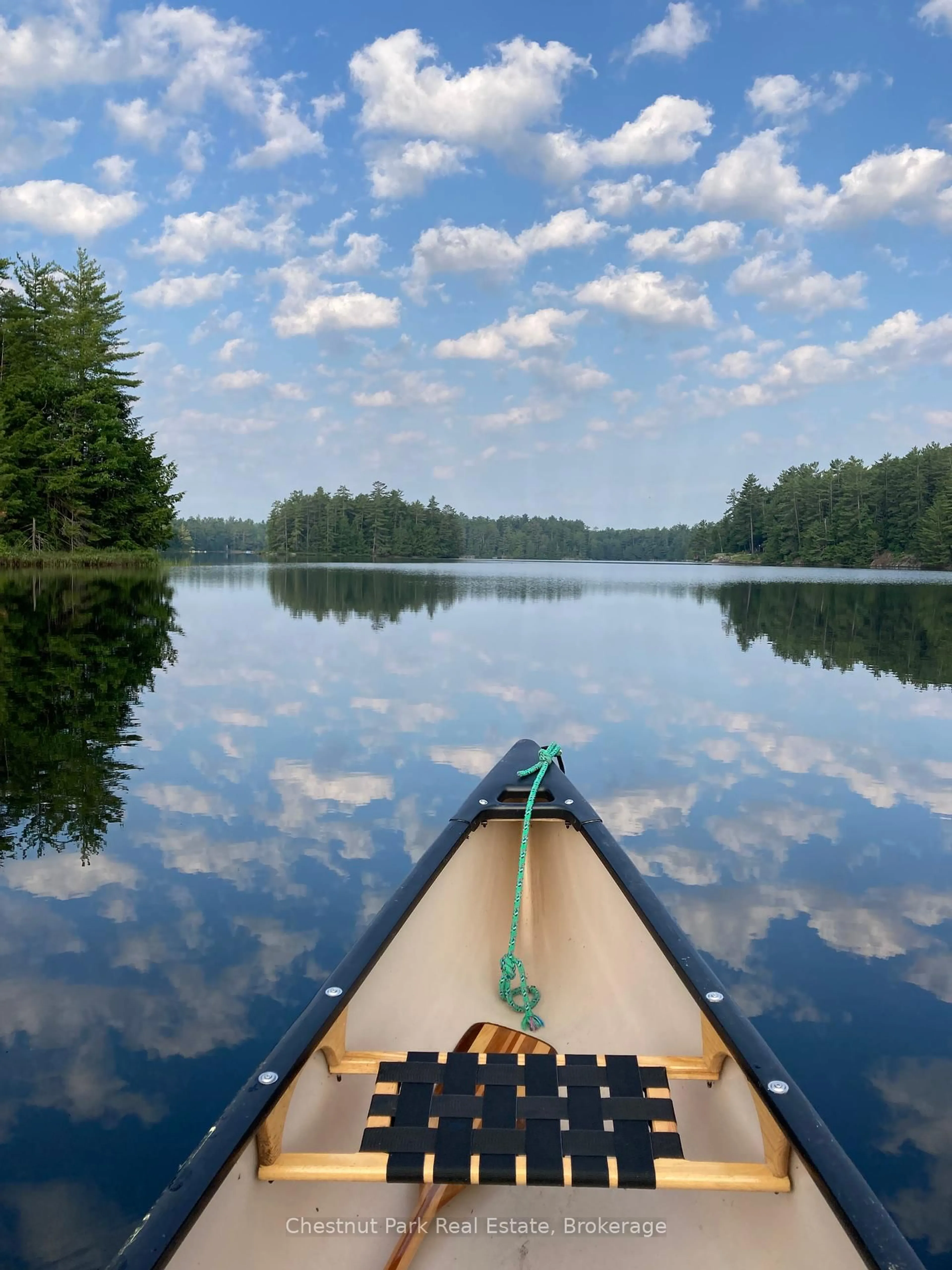 Blurry image for 1146 Shoe Lake Rd, Lake of Bays Ontario P0A 1E0