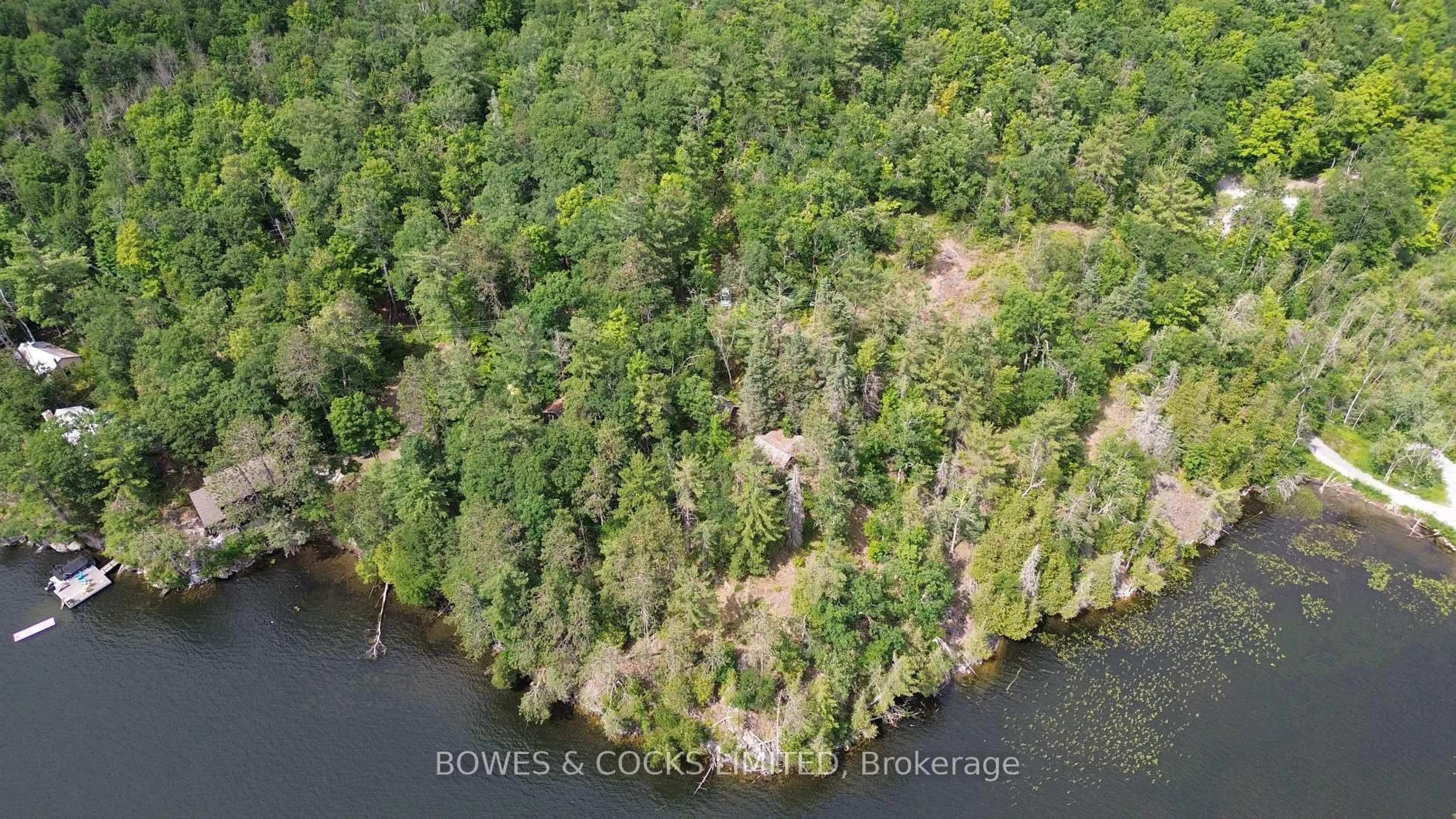 A pic from outside/outdoor area/front of a property/back of a property/a pic from drone, water/lake/river/ocean view for 10 Fire Route 46, North Kawartha Ontario K0L 2H0
