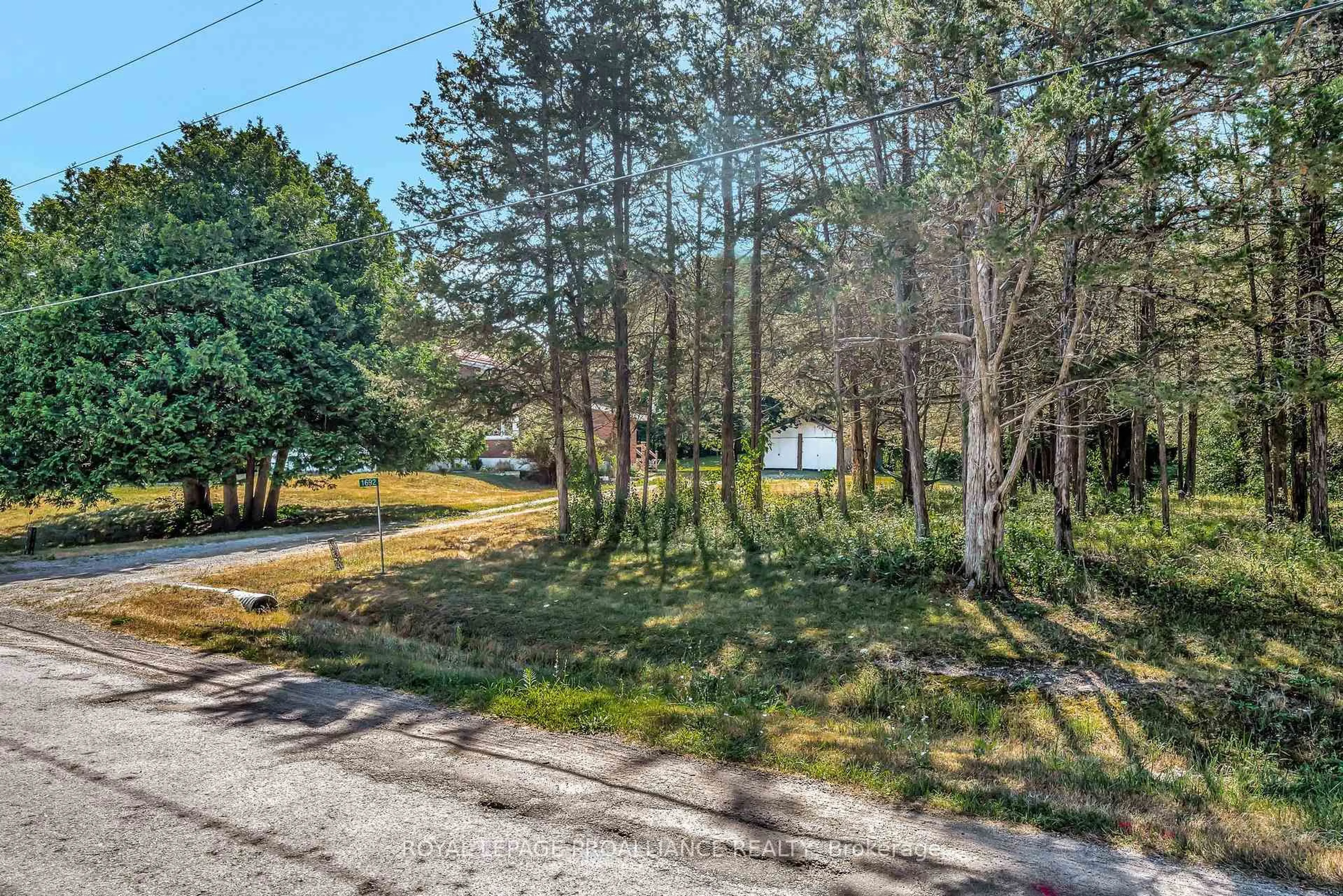 A pic from outside/outdoor area/front of a property/back of a property/a pic from drone, forest/trees view for 1692 North Big Island Rd, Prince Edward County Ontario K0K 1W0