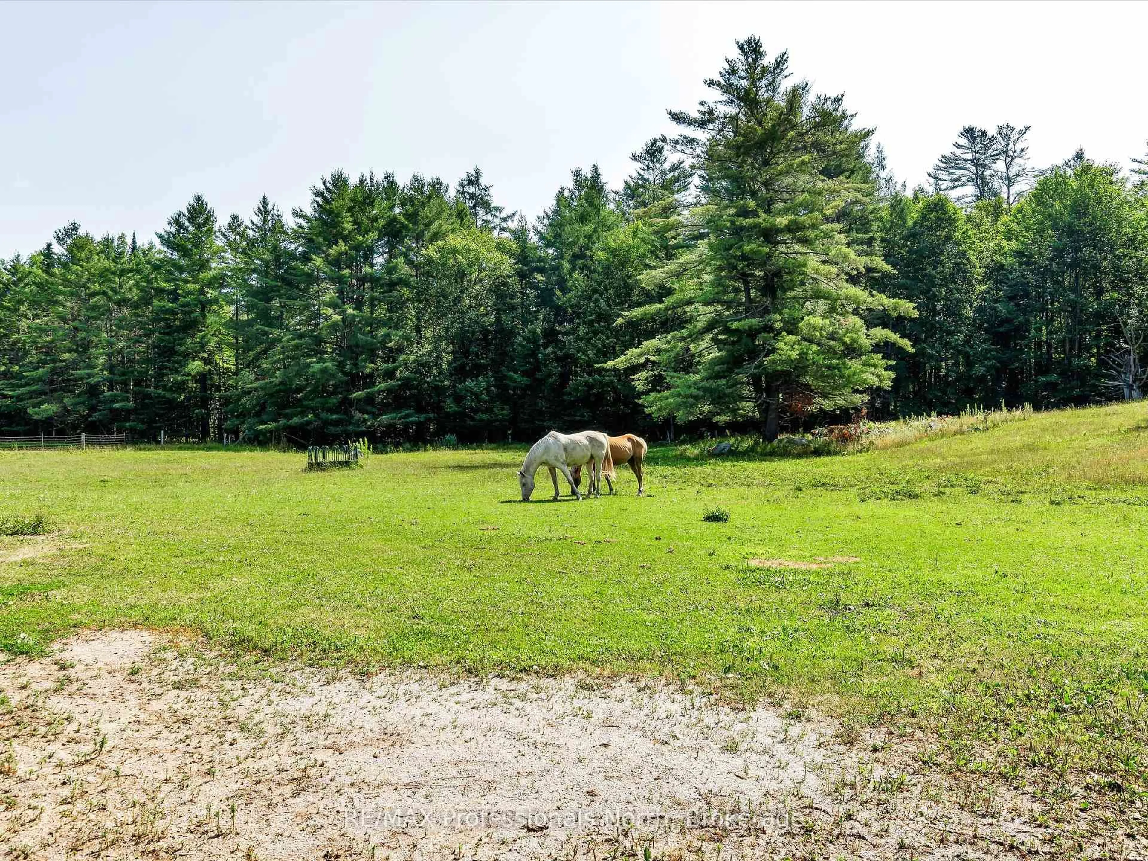 A pic from outside/outdoor area/front of a property/back of a property/a pic from drone, forest/trees view for 1069 Kirk Line, Bracebridge Ontario P1L 0A1