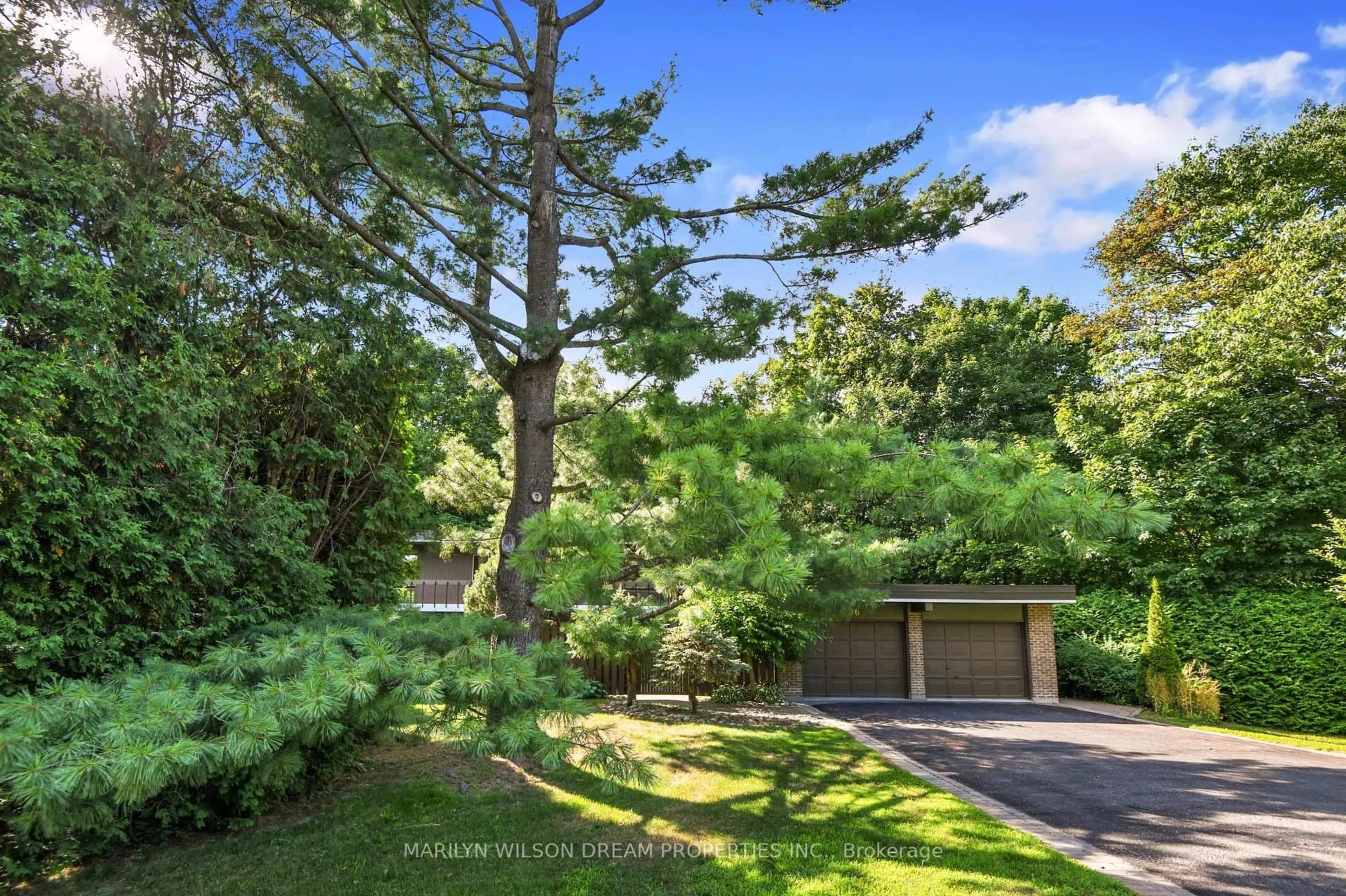 A pic from outside/outdoor area/front of a property/back of a property/a pic from drone, forest/trees view for 36 Wick Cres, Ottawa Ontario K1J 7H3