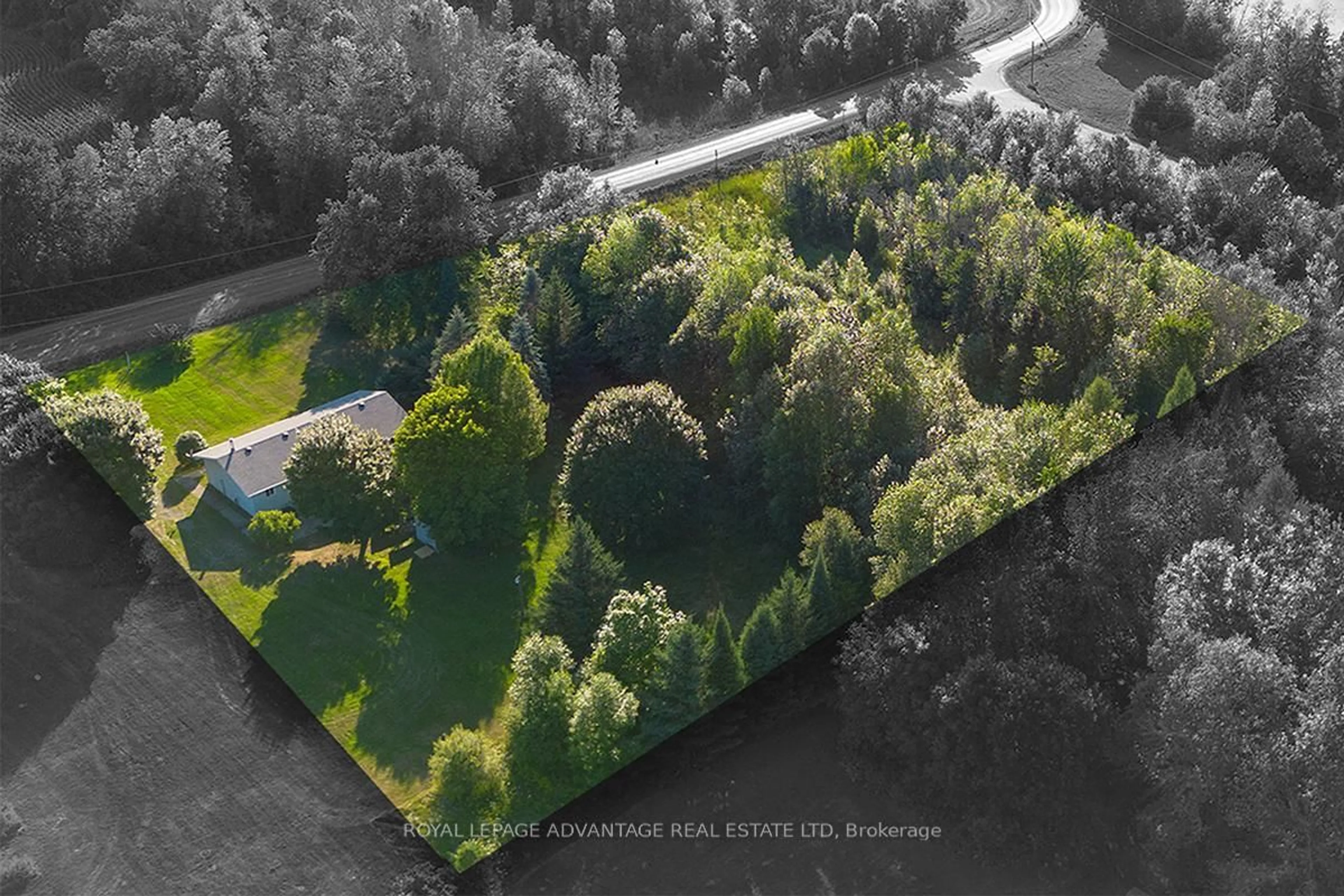 A pic from outside/outdoor area/front of a property/back of a property/a pic from drone, forest/trees view for 6101 Burritts Rapids Rd, Merrickville-Wolford Ontario K0G 1N0