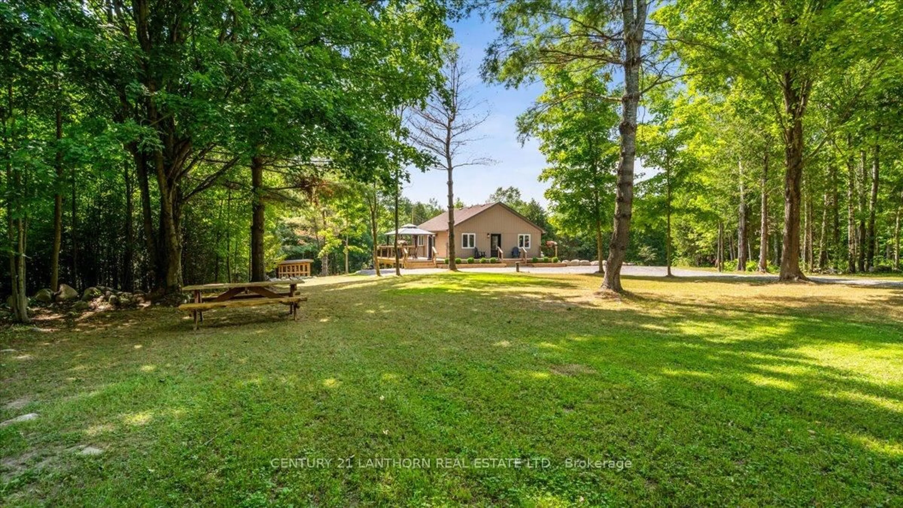 A pic from outside/outdoor area/front of a property/back of a property/a pic from drone, forest/trees view for 101 Thompson Rd, Madoc Ontario K0K 2K0