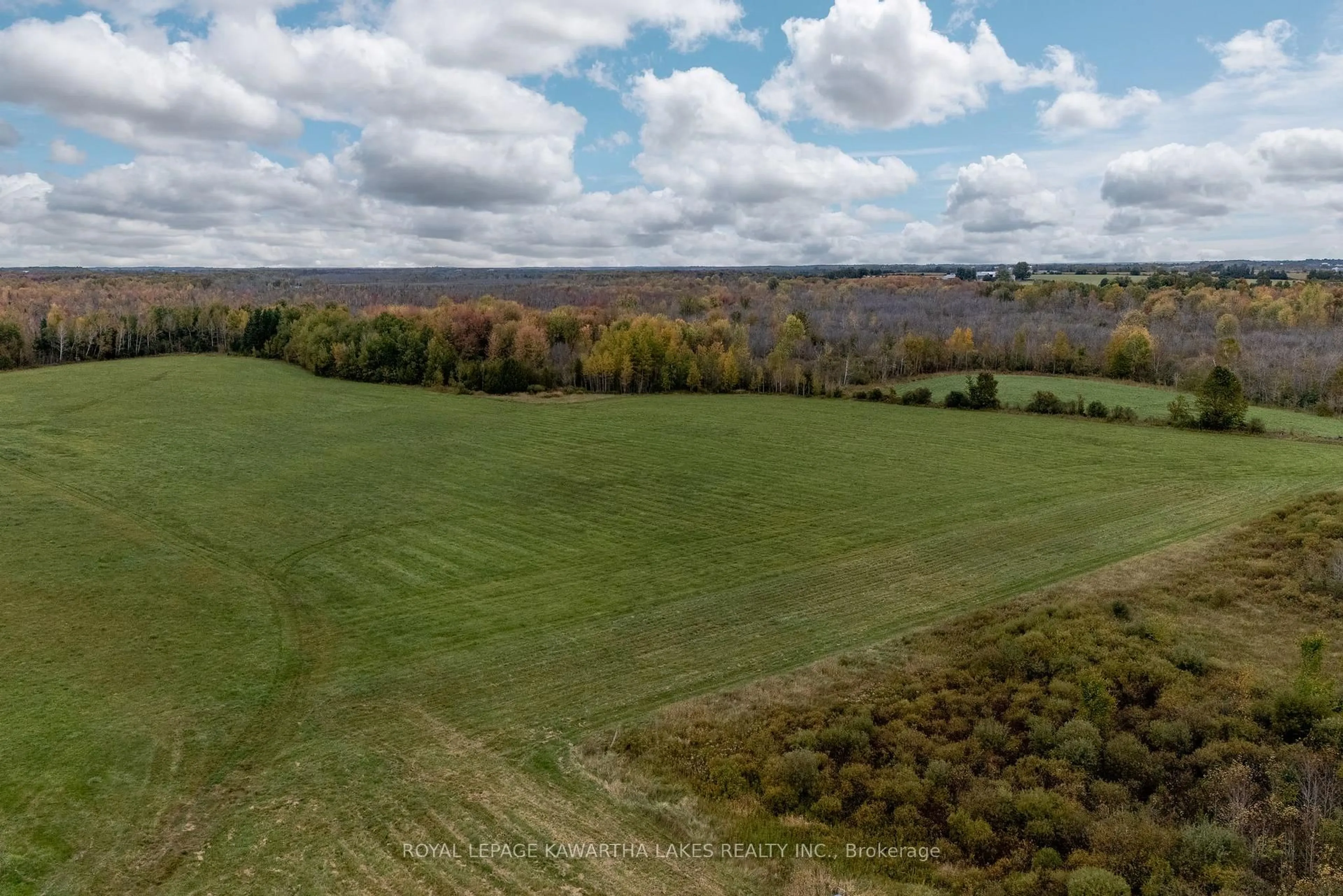A pic from outside/outdoor area/front of a property/back of a property/a pic from drone, forest/trees view for 373 Cheese Factory Rd, Kawartha Lakes Ontario K9V 4R3