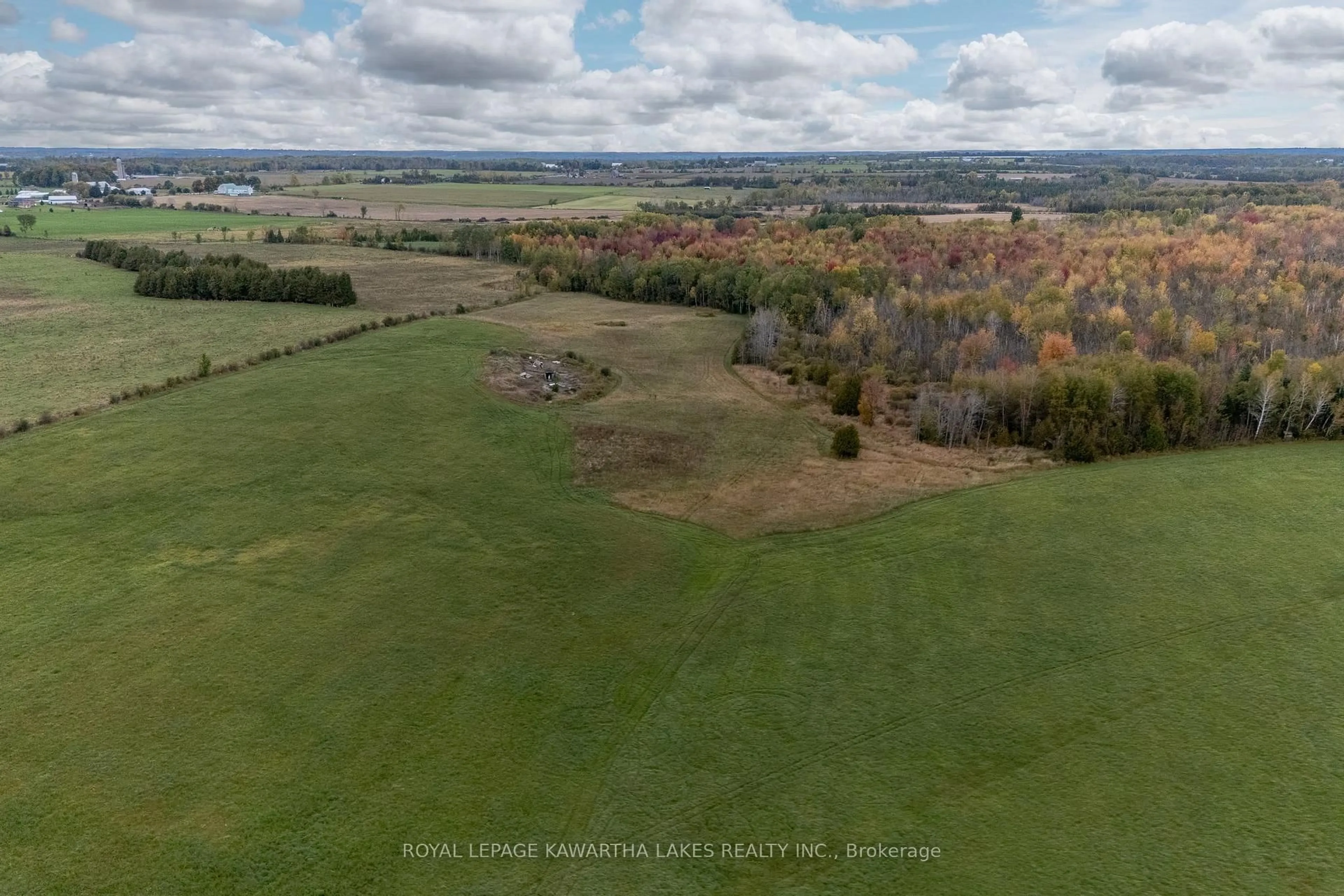 A pic from outside/outdoor area/front of a property/back of a property/a pic from drone, forest/trees view for 373 Cheese Factory Rd, Kawartha Lakes Ontario K9V 4R3
