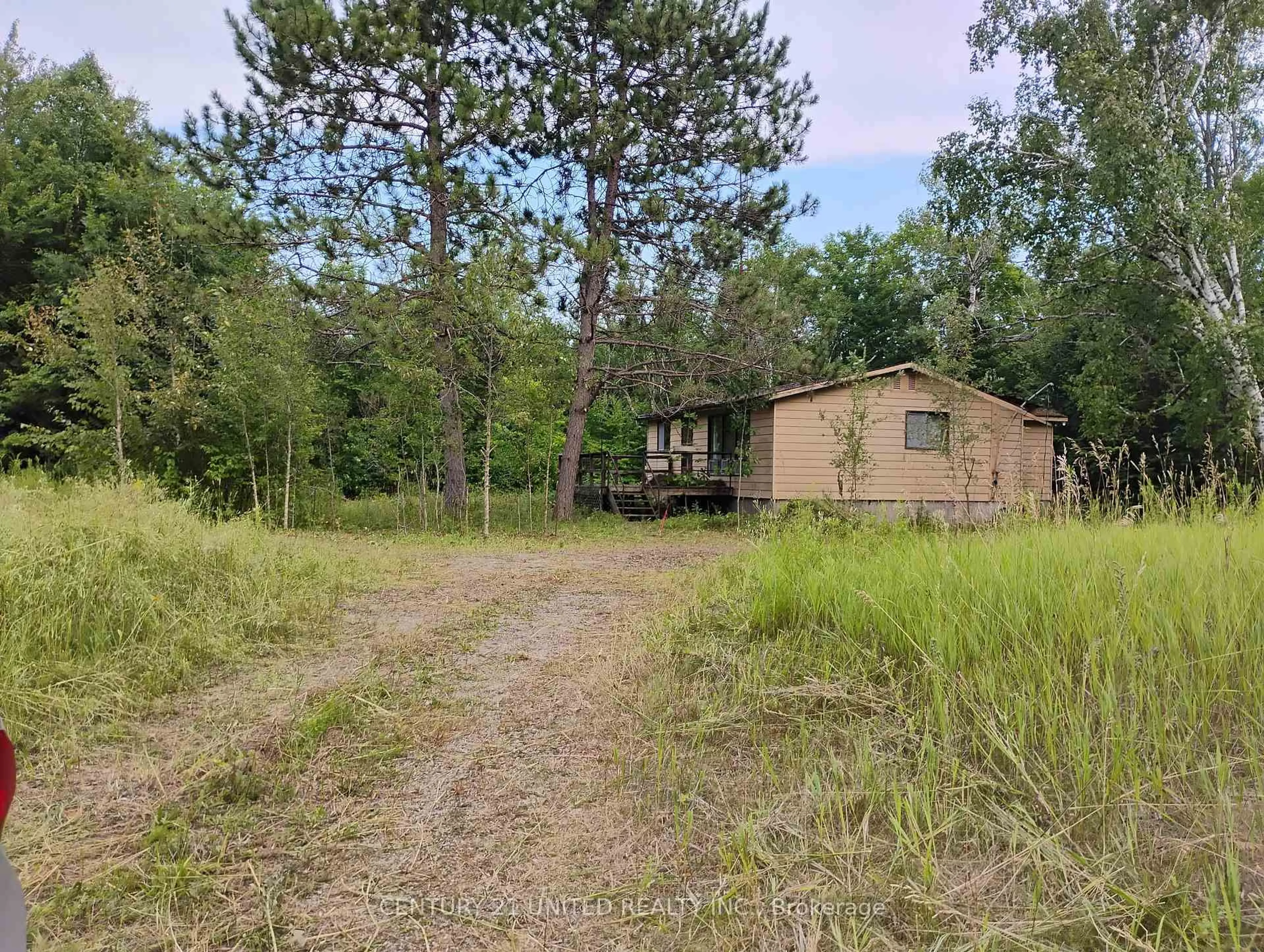 A pic from outside/outdoor area/front of a property/back of a property/a pic from drone, forest/trees view for 2039 County Road 620, North Kawartha Ontario K0L 1A0
