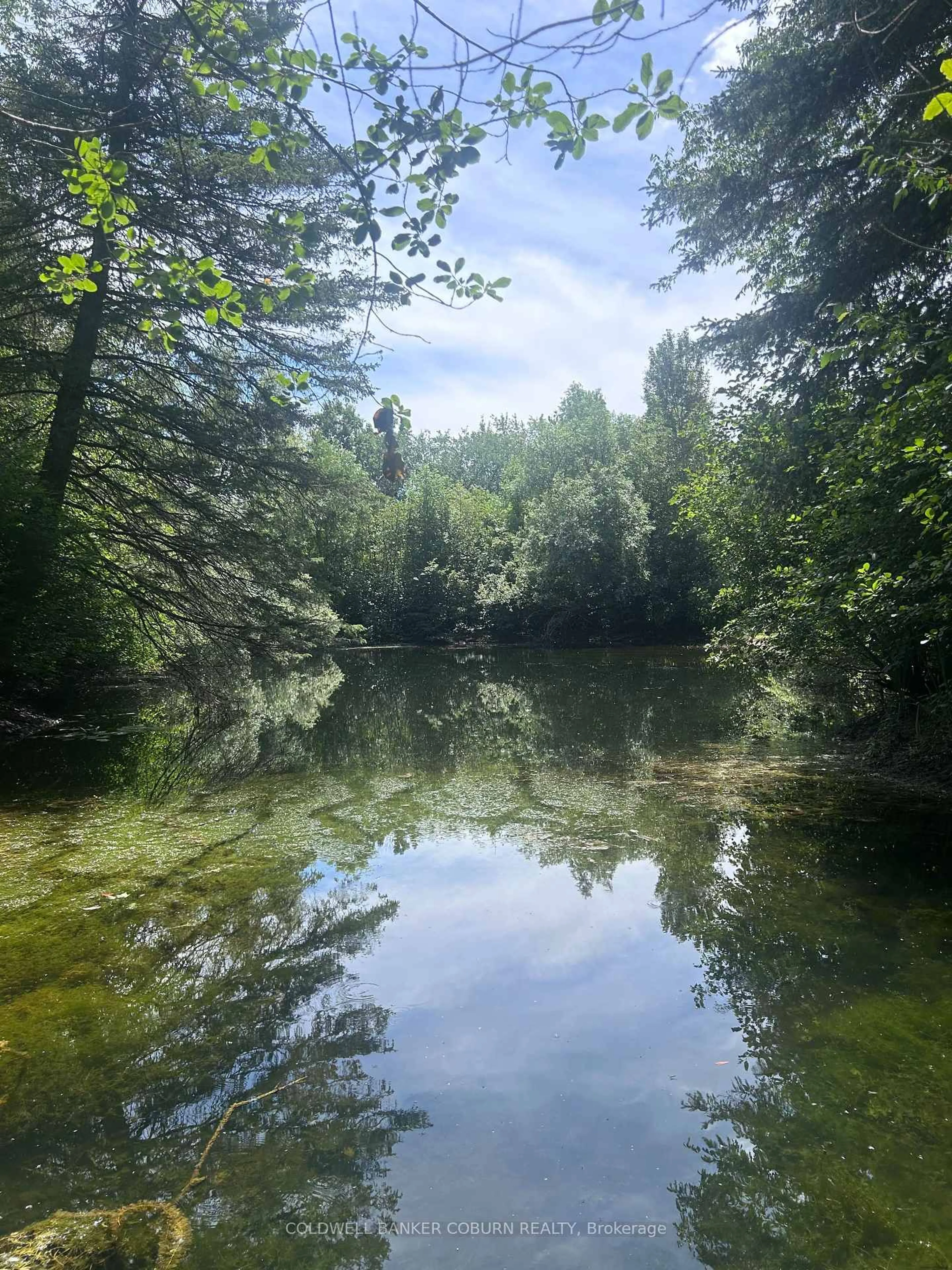Blurry image for 2482 Mcgee Side Rd, Carp Ontario K0A 1L0