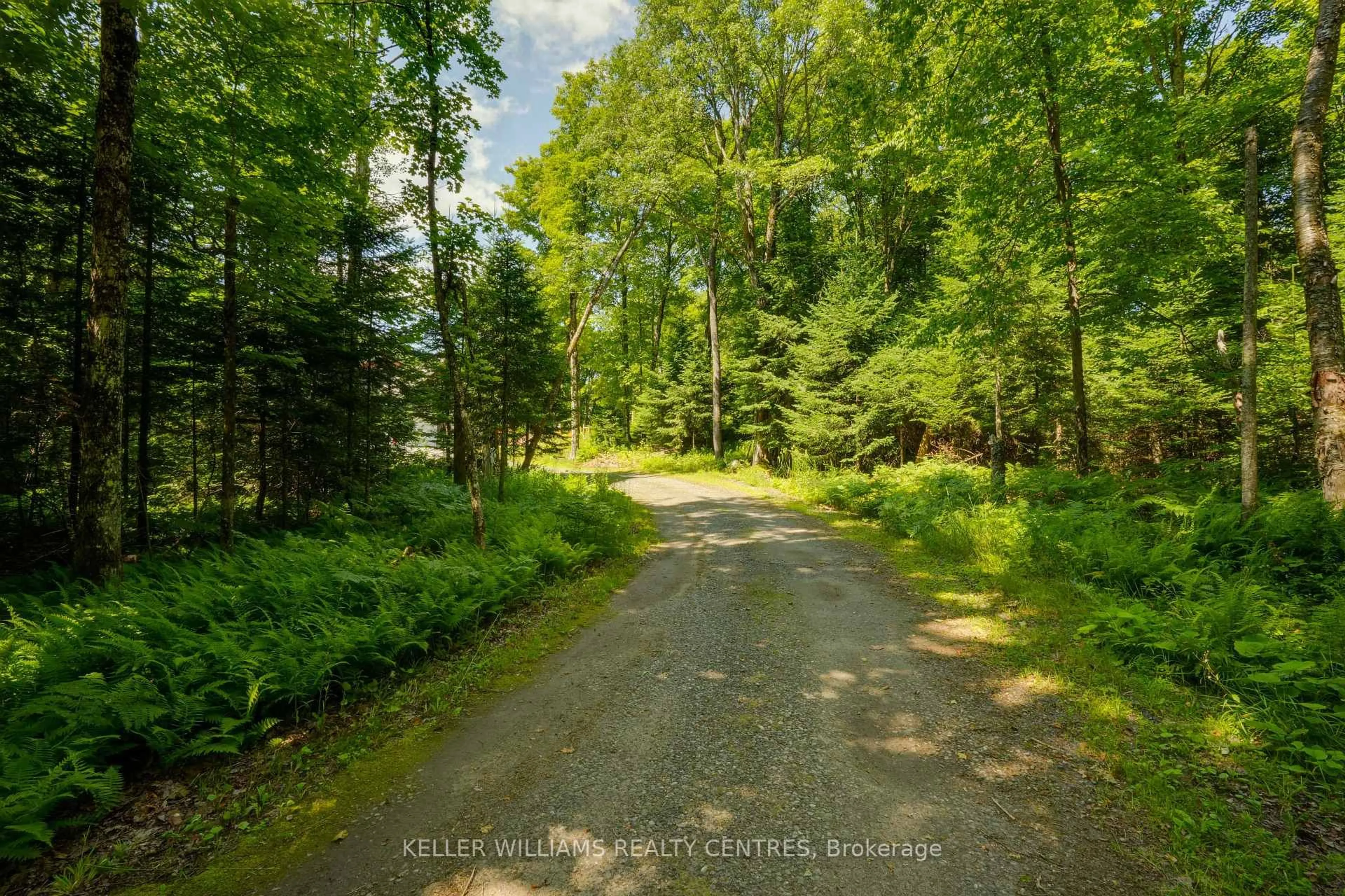 A pic from outside/outdoor area/front of a property/back of a property/a pic from drone, forest/trees view for 96 Lindgren Rd, Huntsville Ontario P1H 1Y6