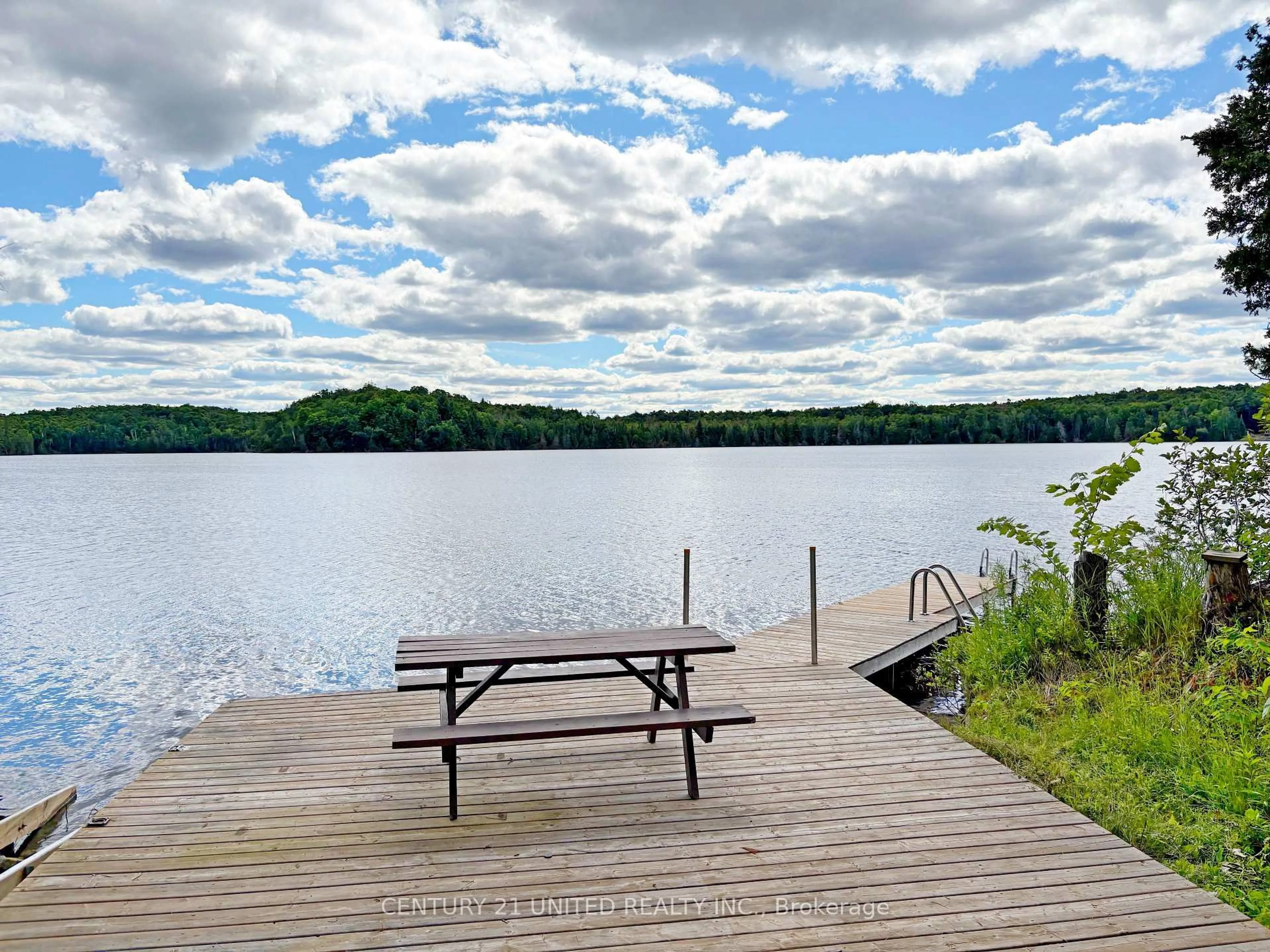 Patio, water/lake/river/ocean view for 22 Fire Route 311, Trent Lakes Ontario K0L 1J0