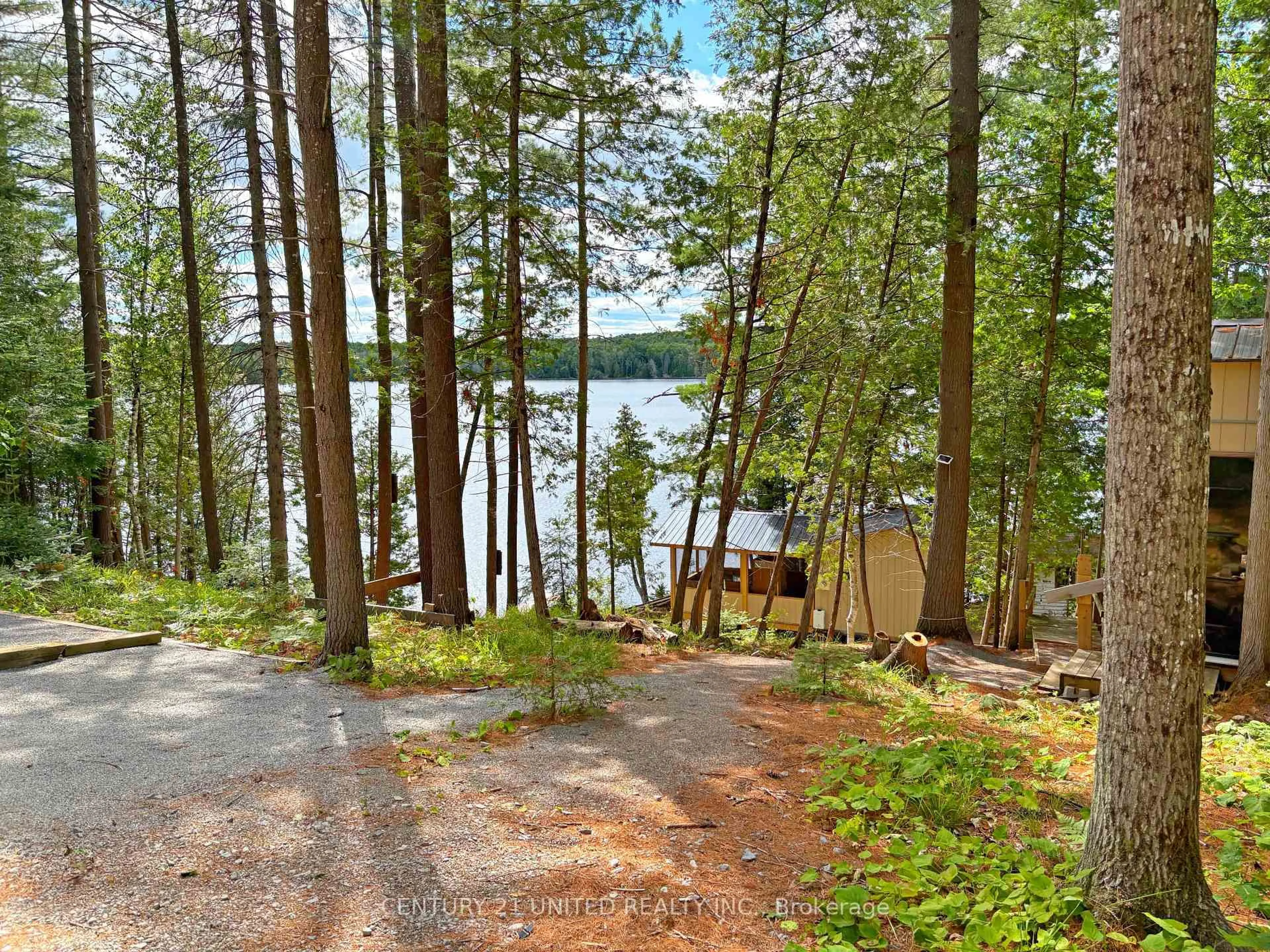 Unknown for 22 Fire Route 311, Trent Lakes Ontario K0L 1J0