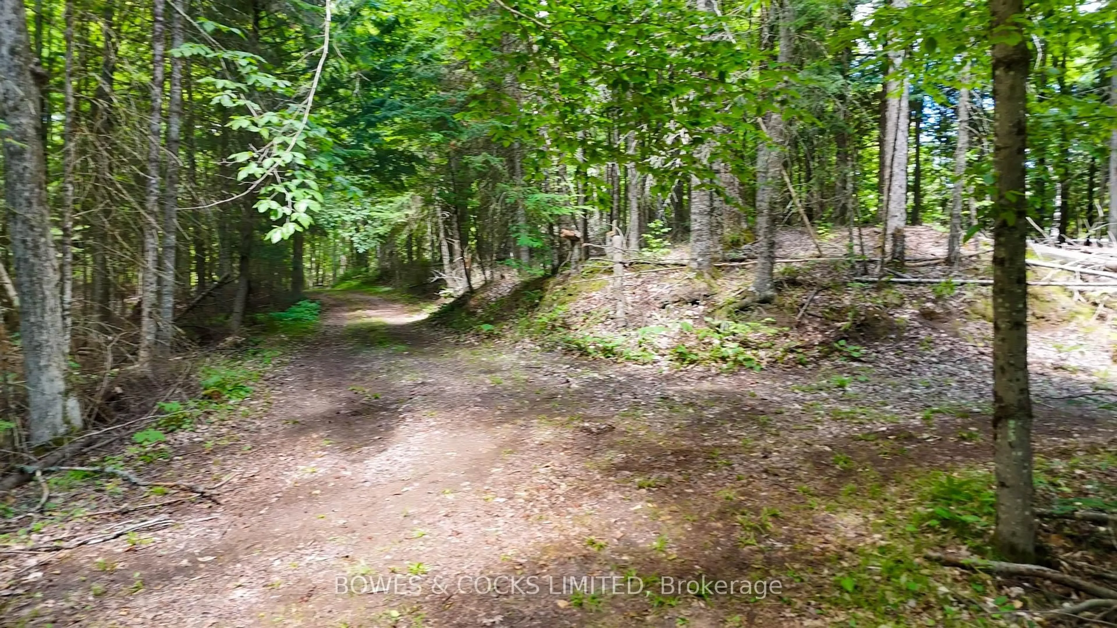 A pic from outside/outdoor area/front of a property/back of a property/a pic from drone, forest/trees view for 688 Ragged Lake Rd, Coe Hill Ontario K0L 1P0