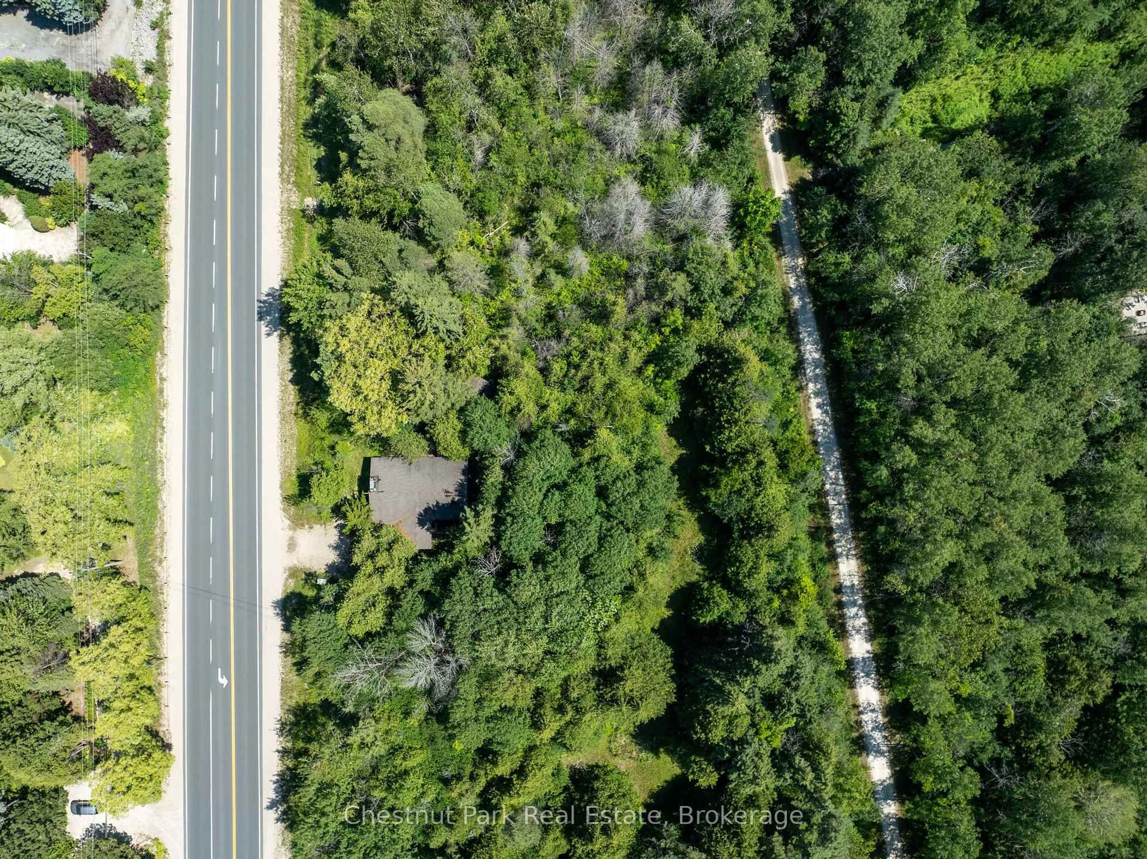 A pic from outside/outdoor area/front of a property/back of a property/a pic from drone, forest/trees view for 208658 Highway 26, Blue Mountains Ontario N0H 1J0