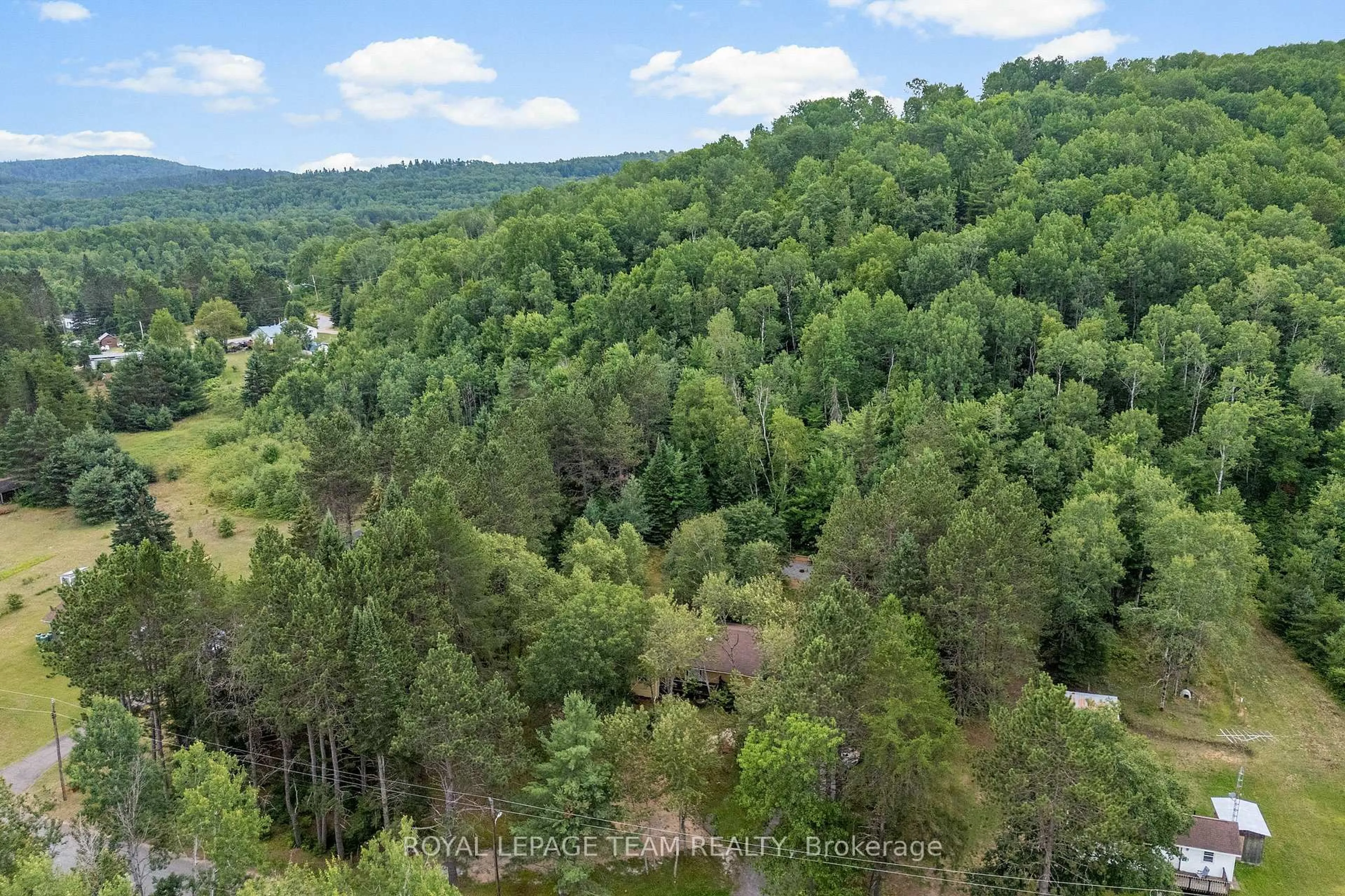 A pic from outside/outdoor area/front of a property/back of a property/a pic from drone, forest/trees view for 4 MURCHISON Rd, South Algonquin Ontario K0J 2C0