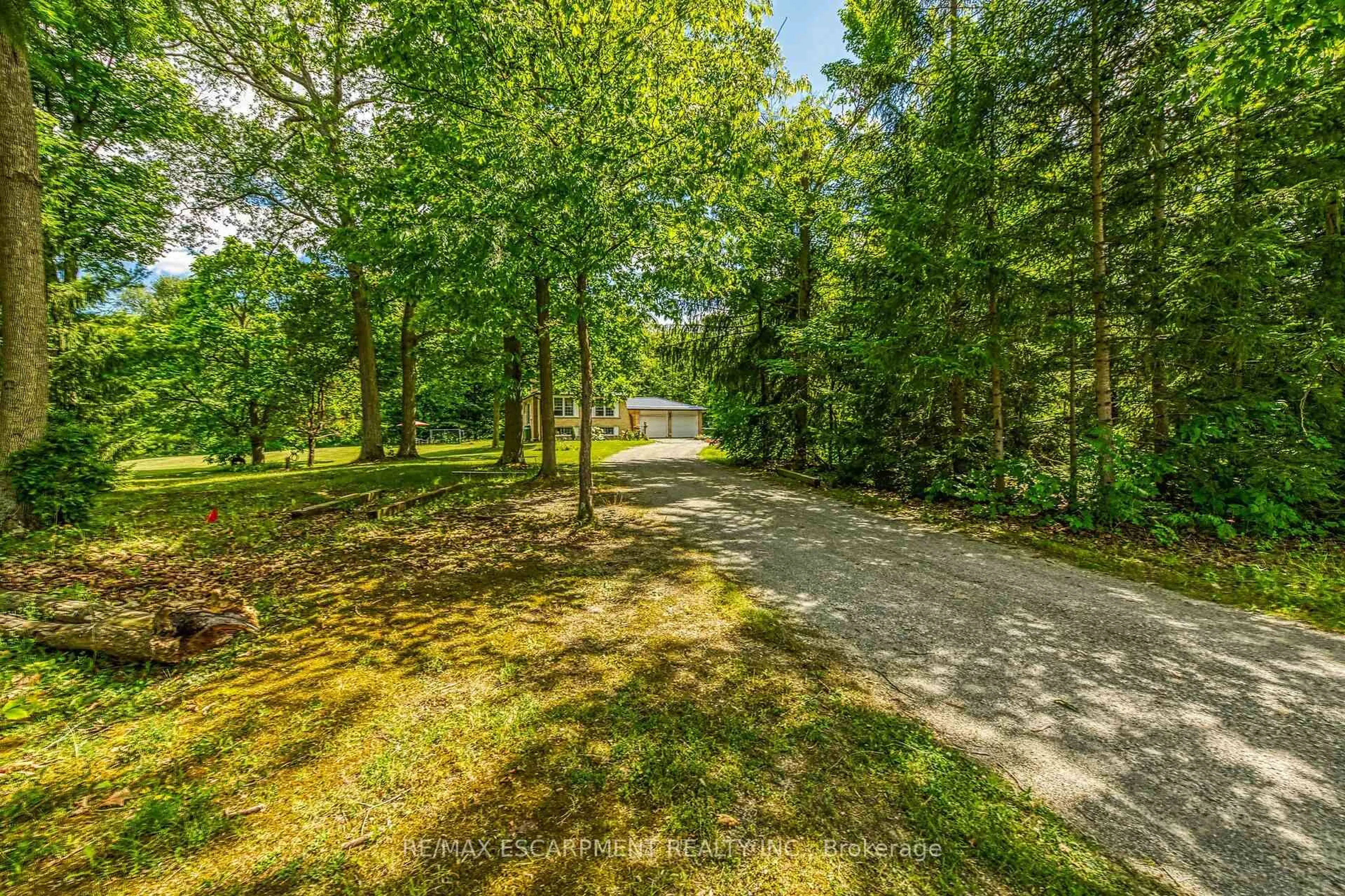 A pic from outside/outdoor area/front of a property/back of a property/a pic from drone, forest/trees view for 118 Concession 1 Rd, Haldimand Ontario N0A 1C0