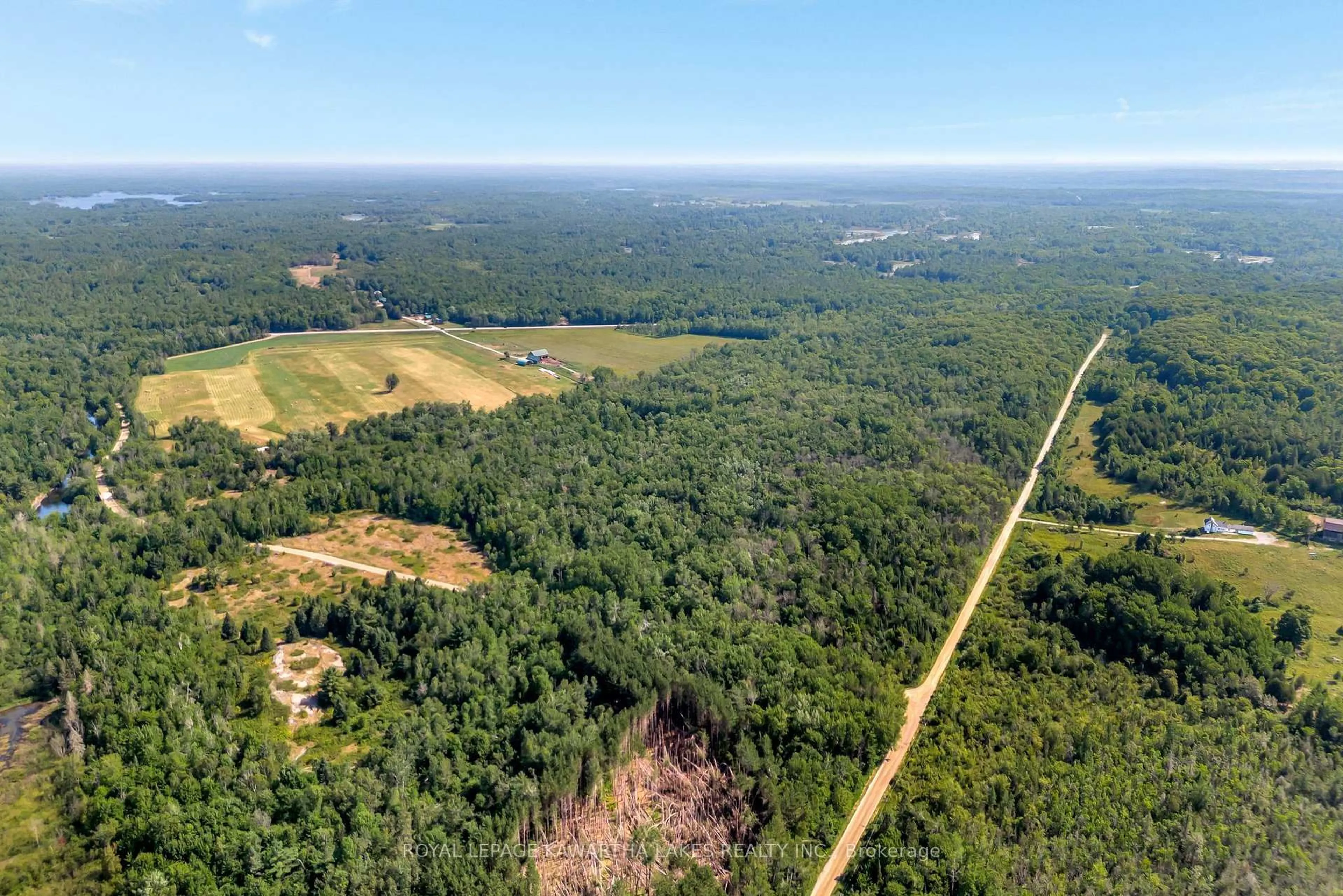 A pic from outside/outdoor area/front of a property/back of a property/a pic from drone, forest/trees view for 48 Mackenzie Rd, Kawartha Lakes Ontario K0M 2B0