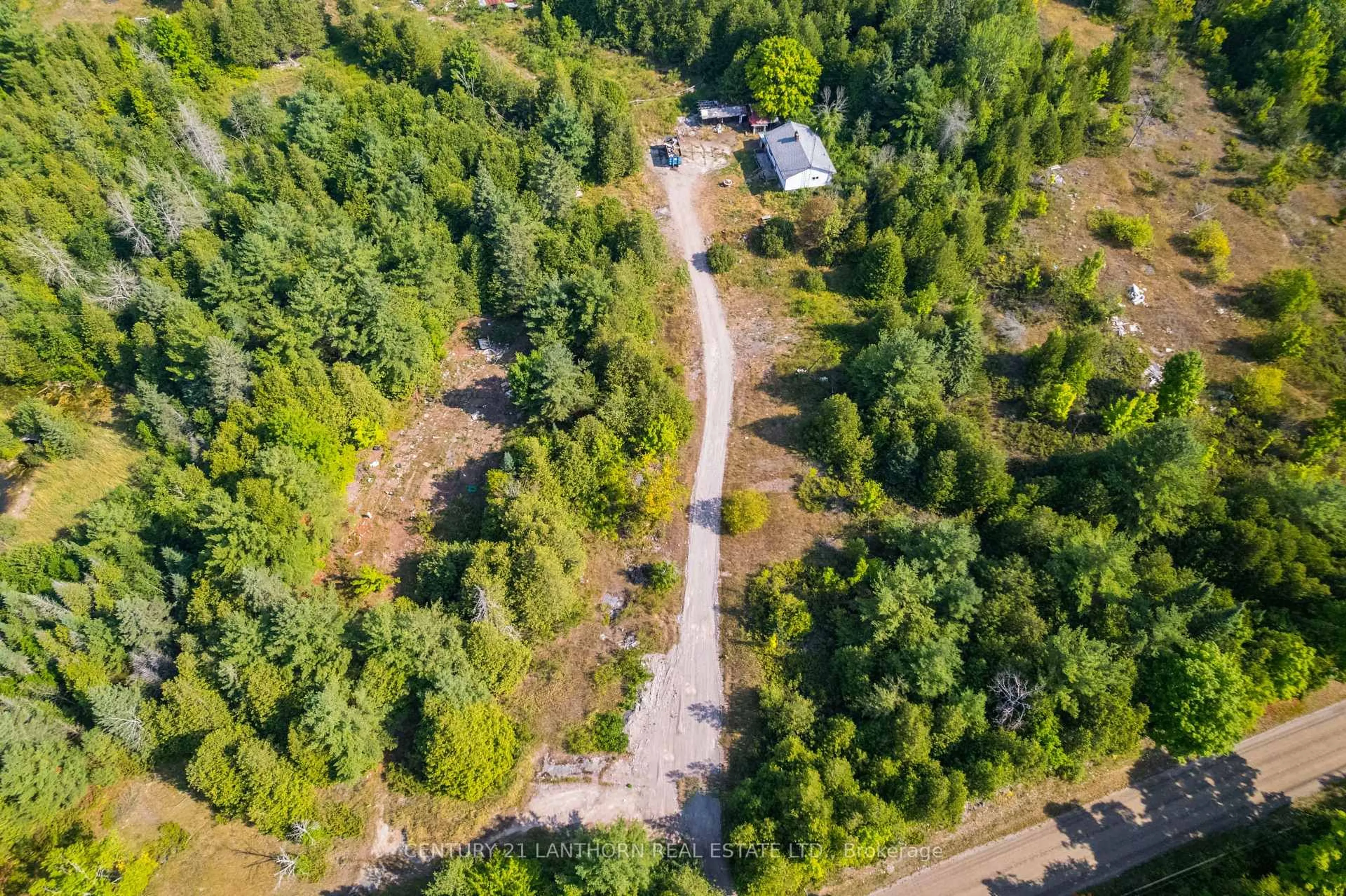 A pic from outside/outdoor area/front of a property/back of a property/a pic from drone, forest/trees view for 1163 Bateman Rd, Stirling-Rawdon Ontario K0K 3C0
