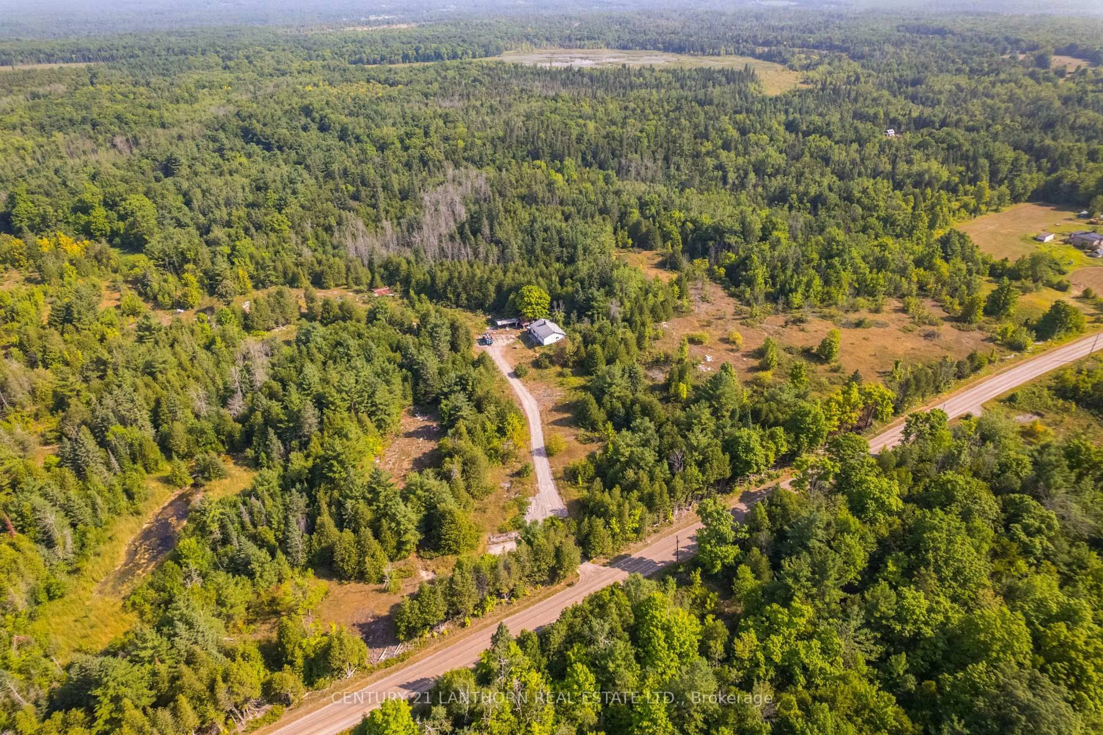 A pic from outside/outdoor area/front of a property/back of a property/a pic from drone, forest/trees view for 1163 Bateman Rd, Stirling-Rawdon Ontario K0K 3C0