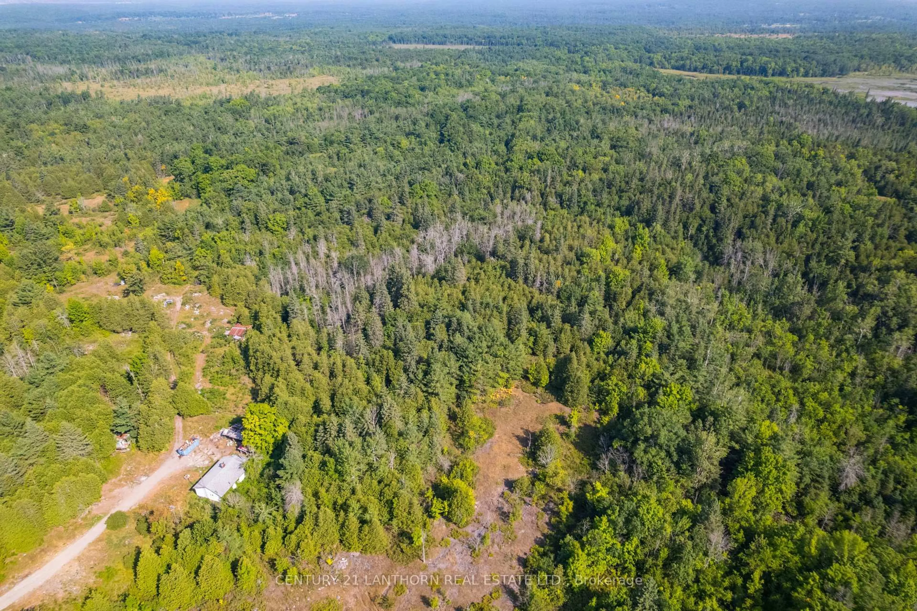 A pic from outside/outdoor area/front of a property/back of a property/a pic from drone, forest/trees view for 1163 Bateman Rd, Stirling-Rawdon Ontario K0K 3C0